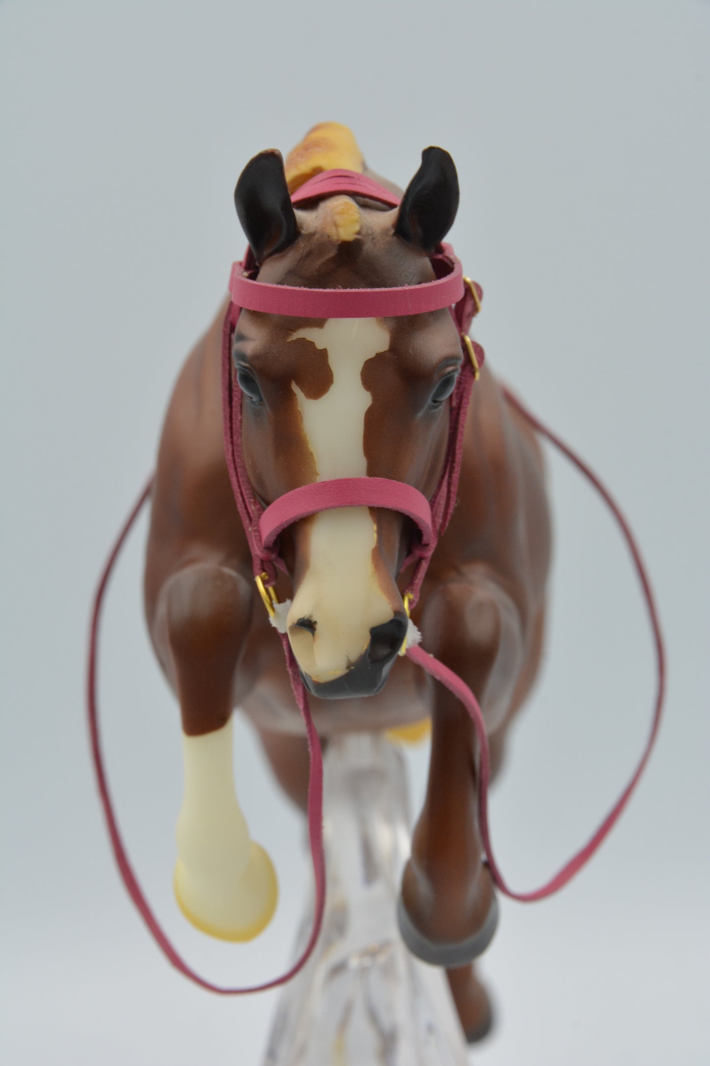 Pink Snaffle Bridle