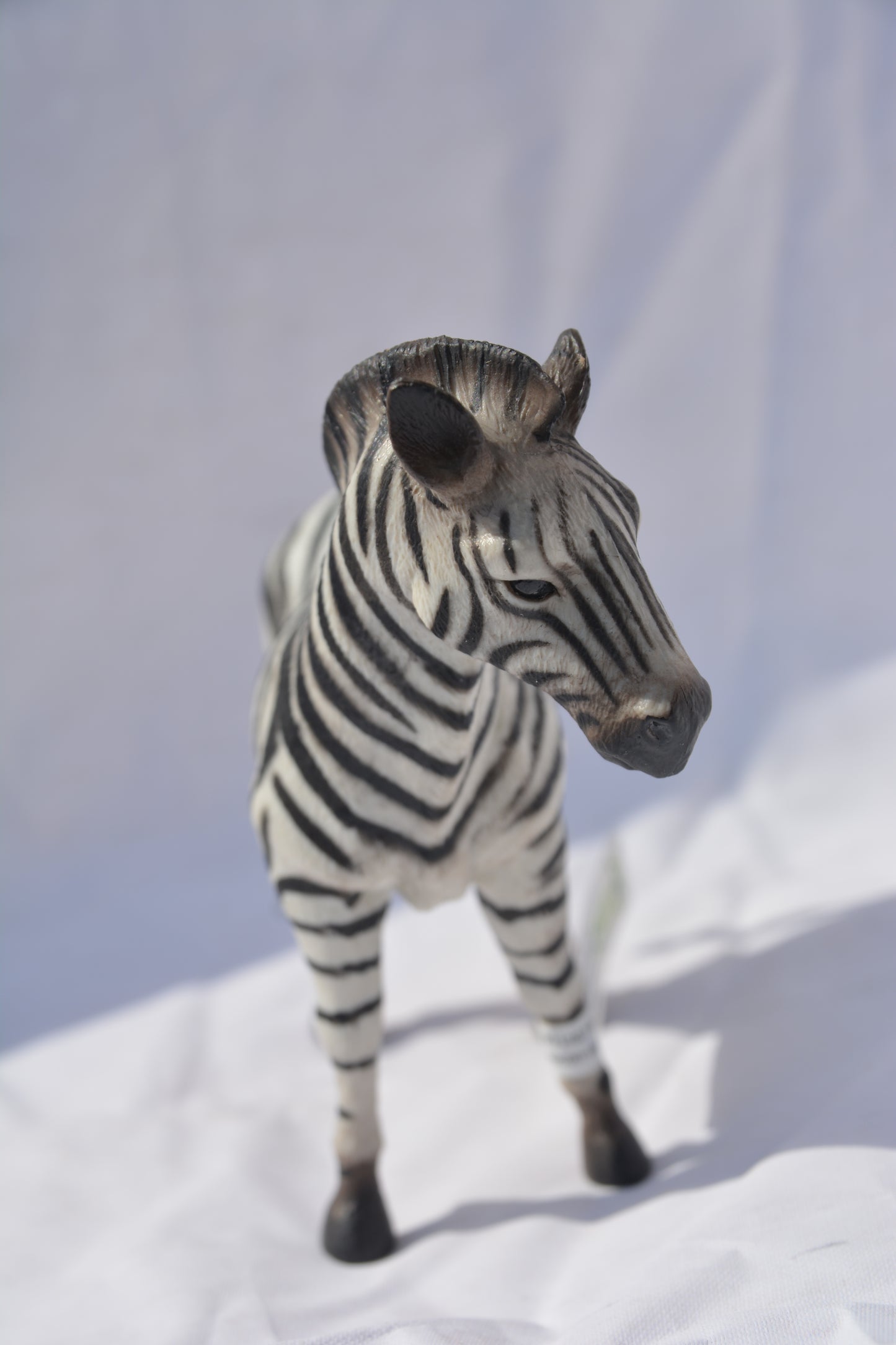 CollectA Common Zebra #1