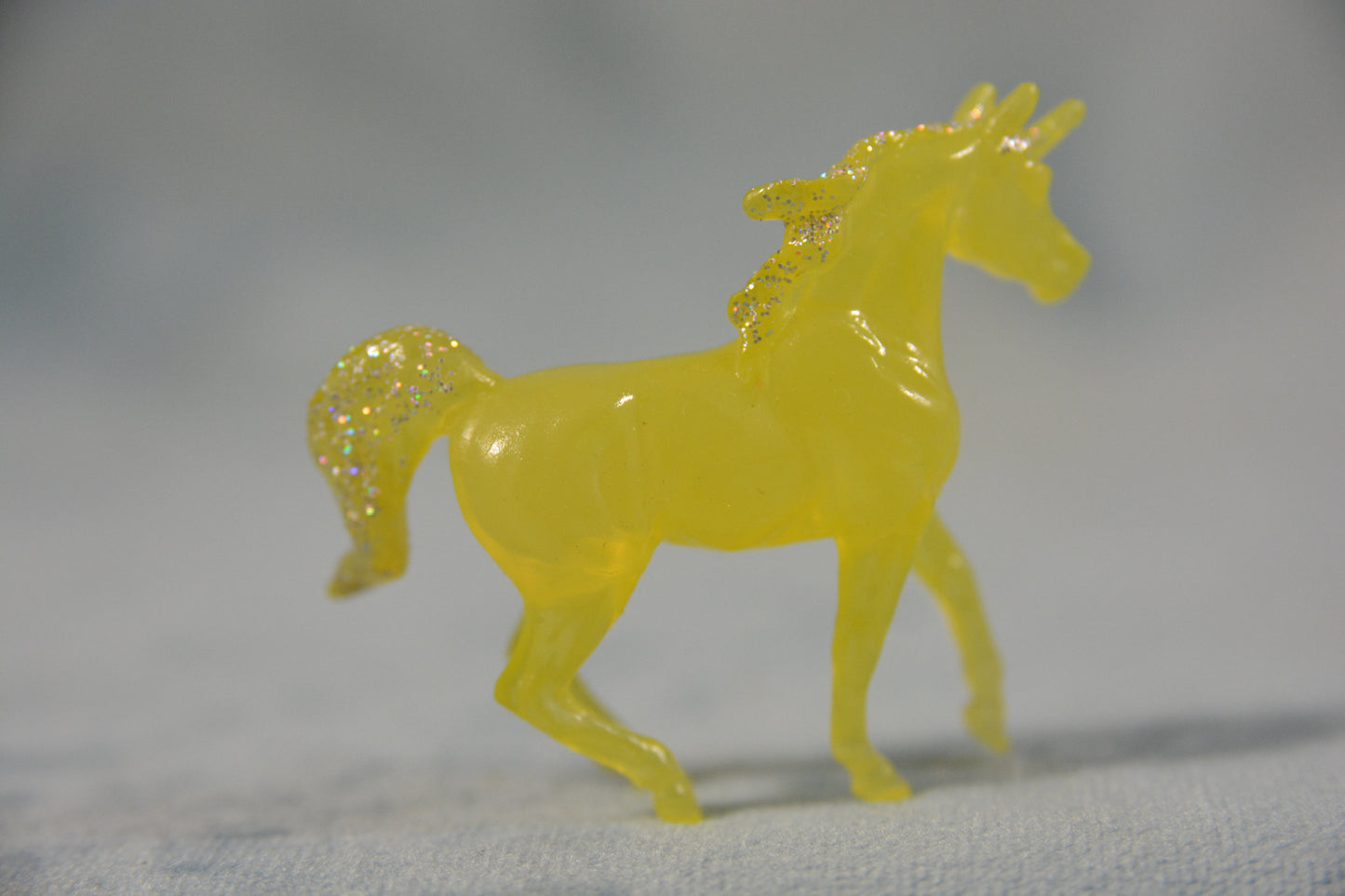 Yellow Arabian