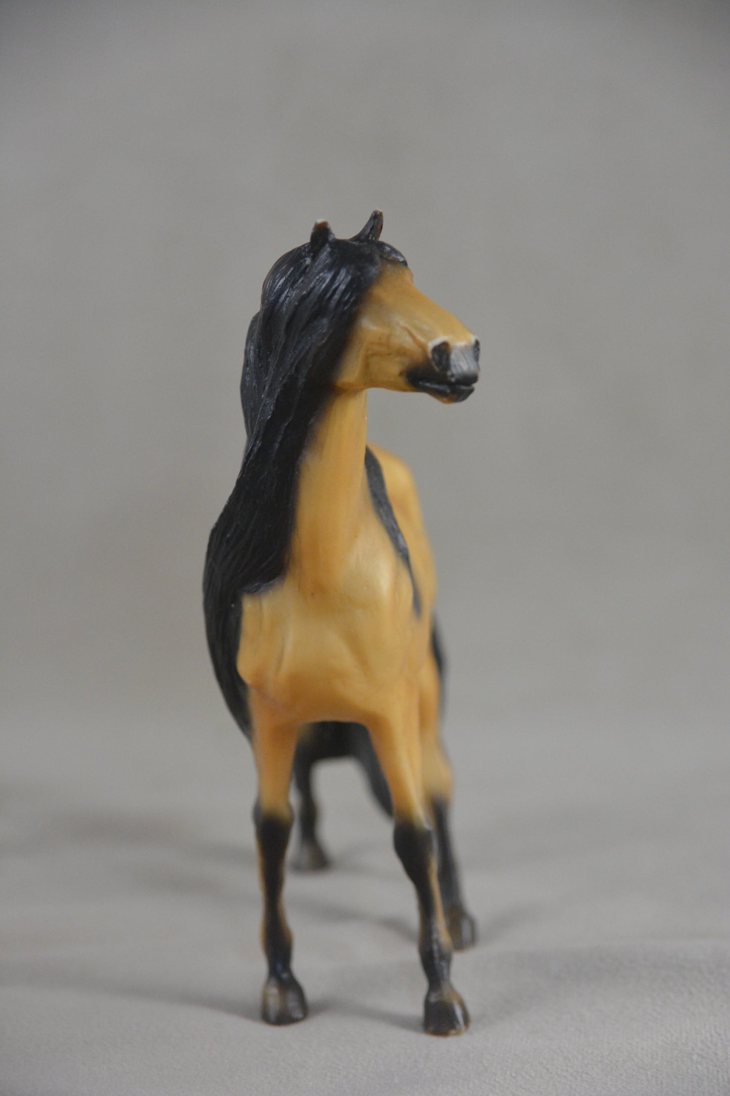 Spirit Body