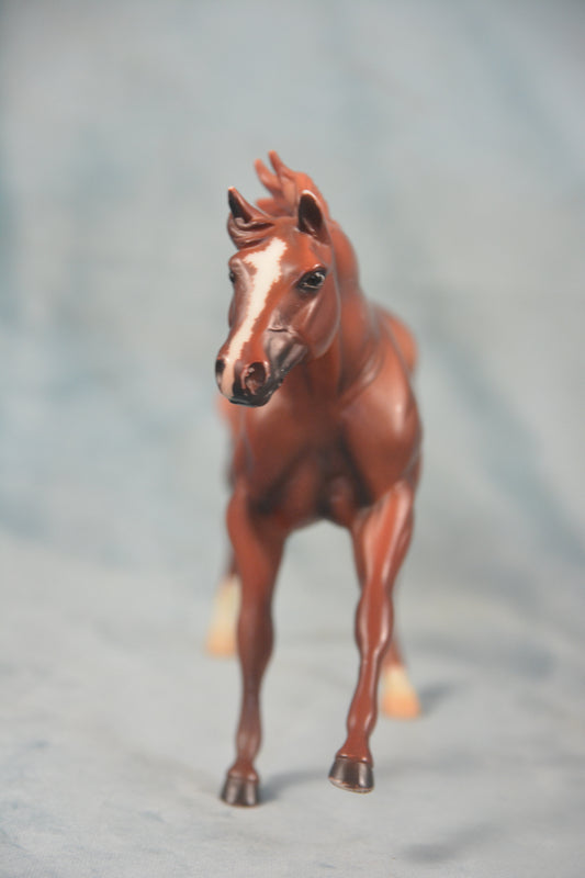 American Quarter Horse