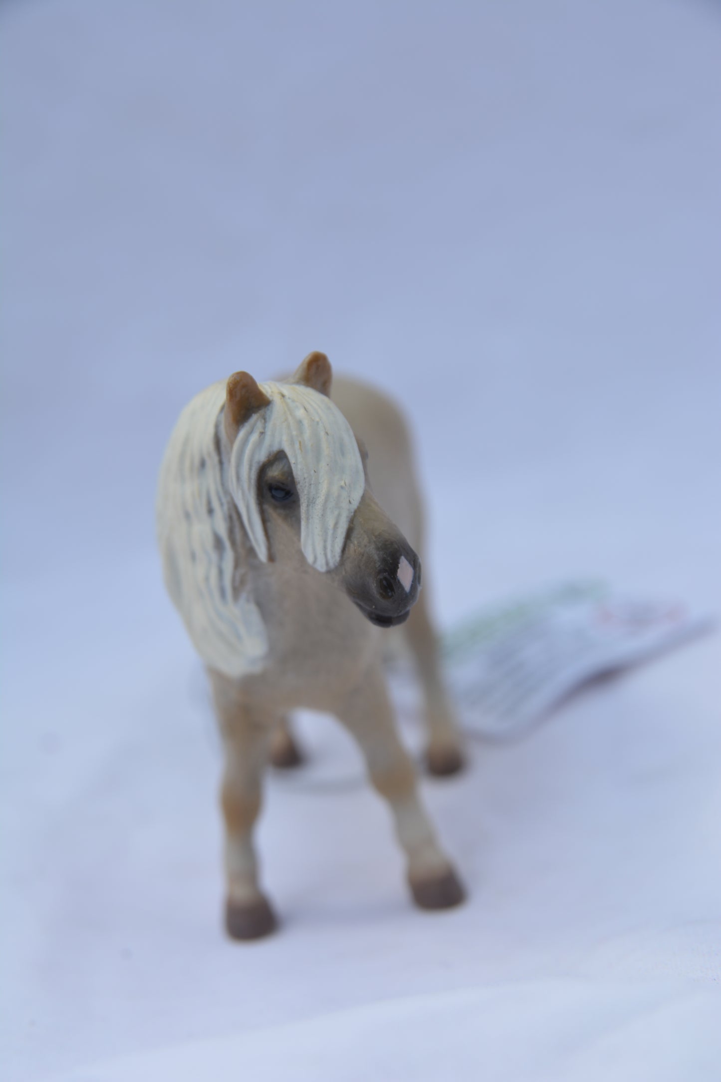 CollectA Falabella #7