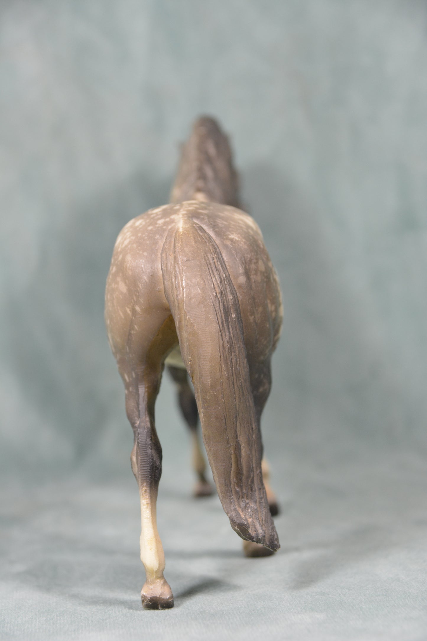 Grey Andalusian Mare