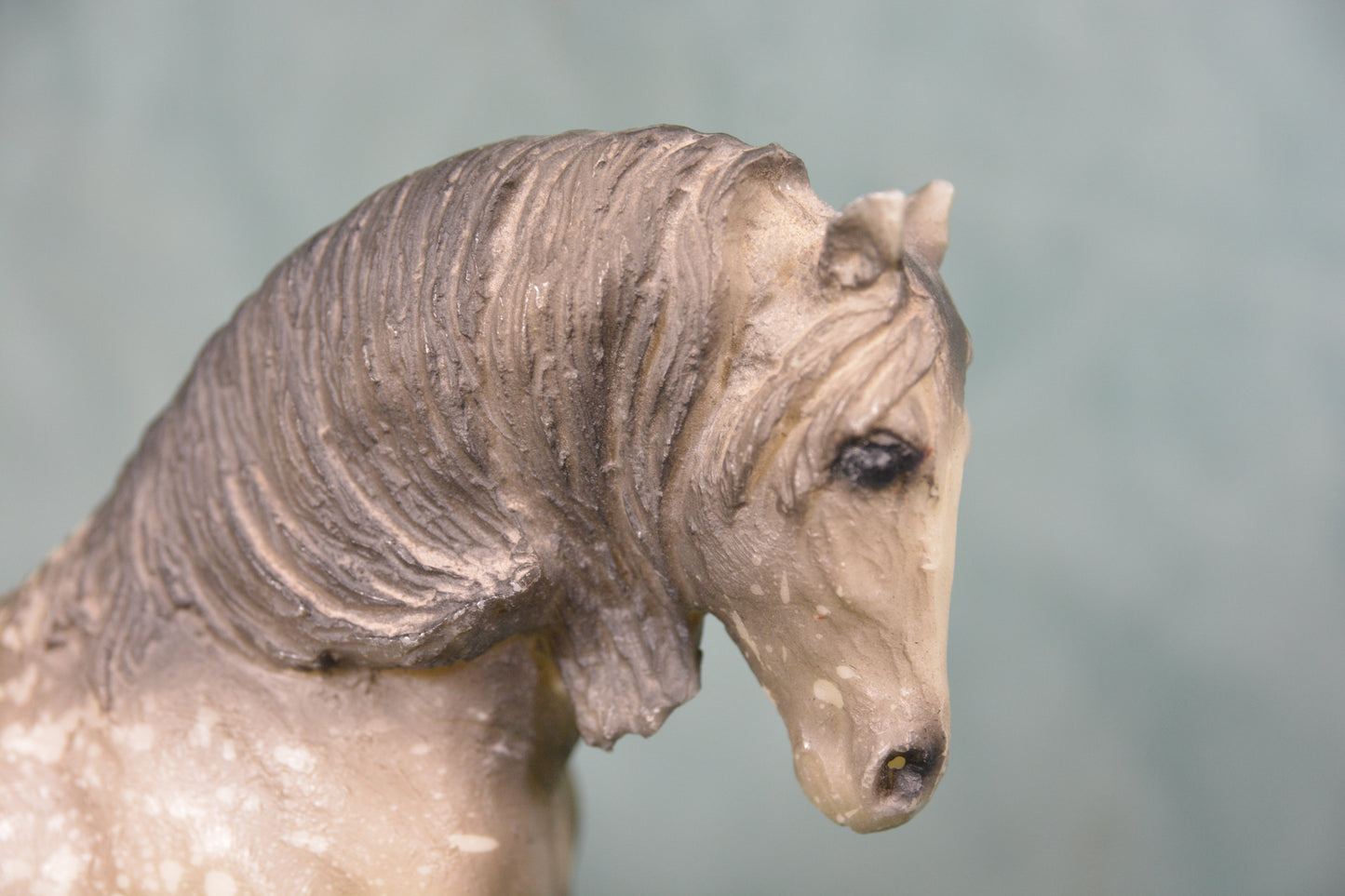 Grey Andalusian Mare