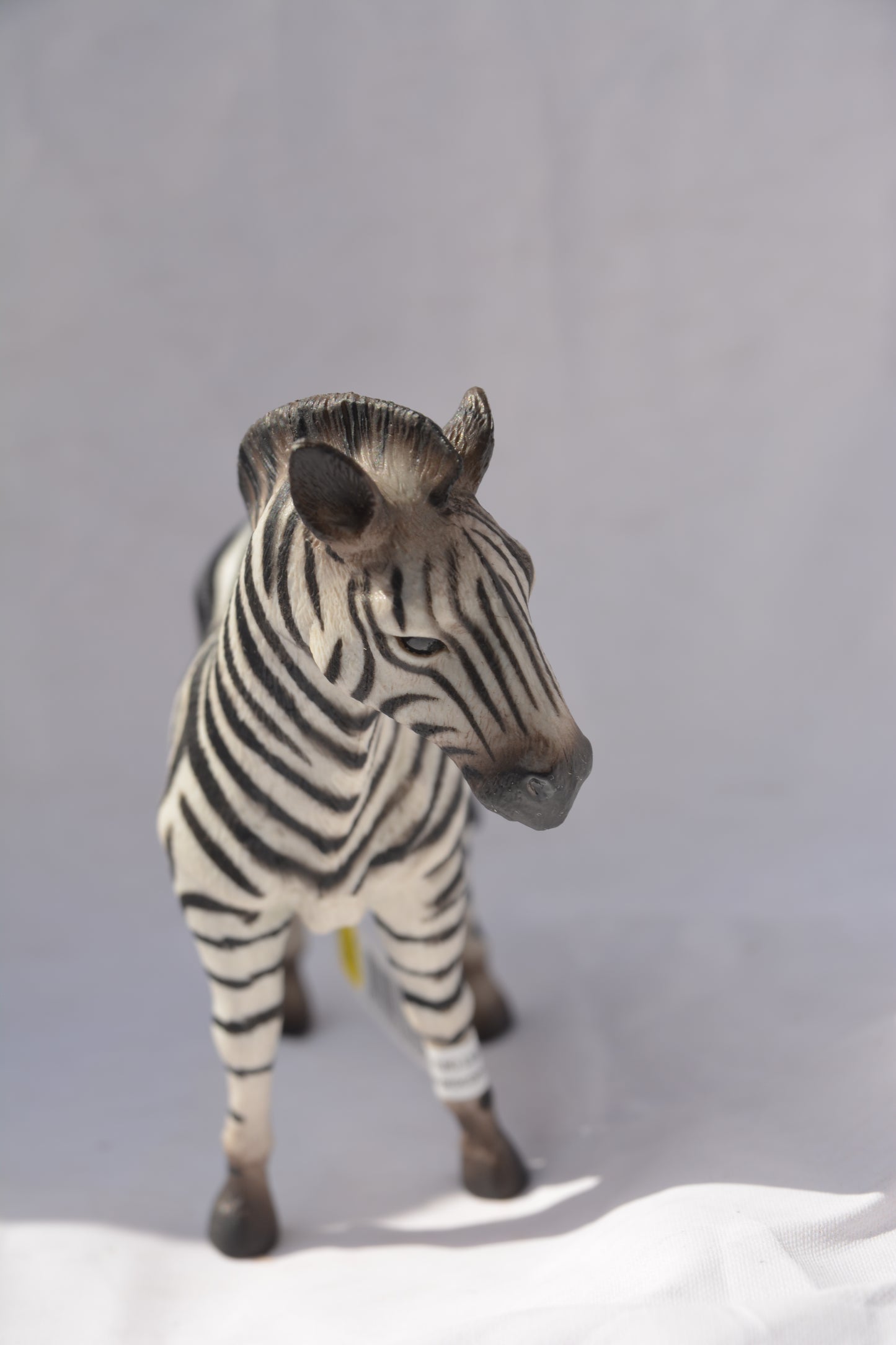 CollectA Common Zebra #6