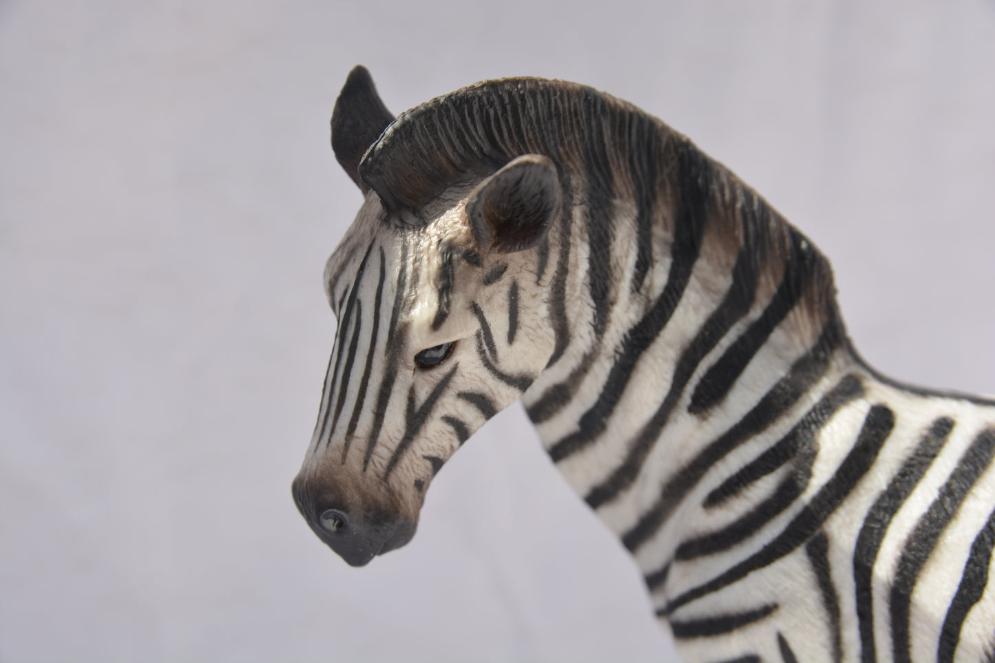 CollectA Common Zebra #6