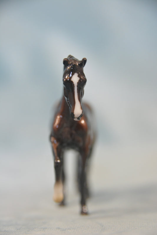 Custom Glossy Valegro