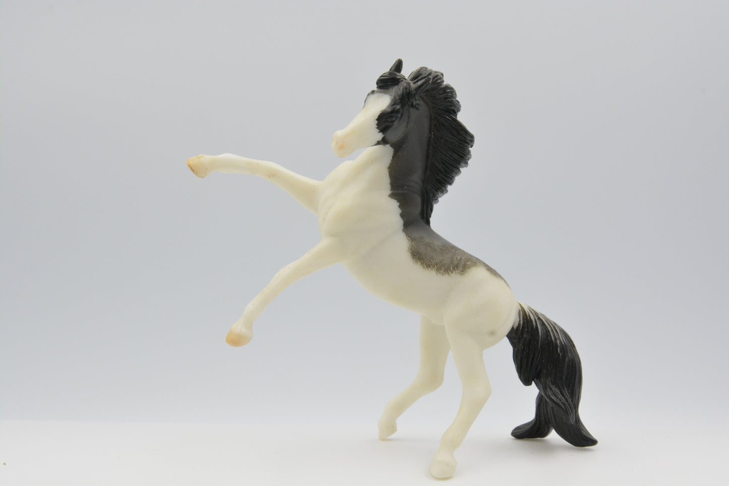 Etched Andalusian