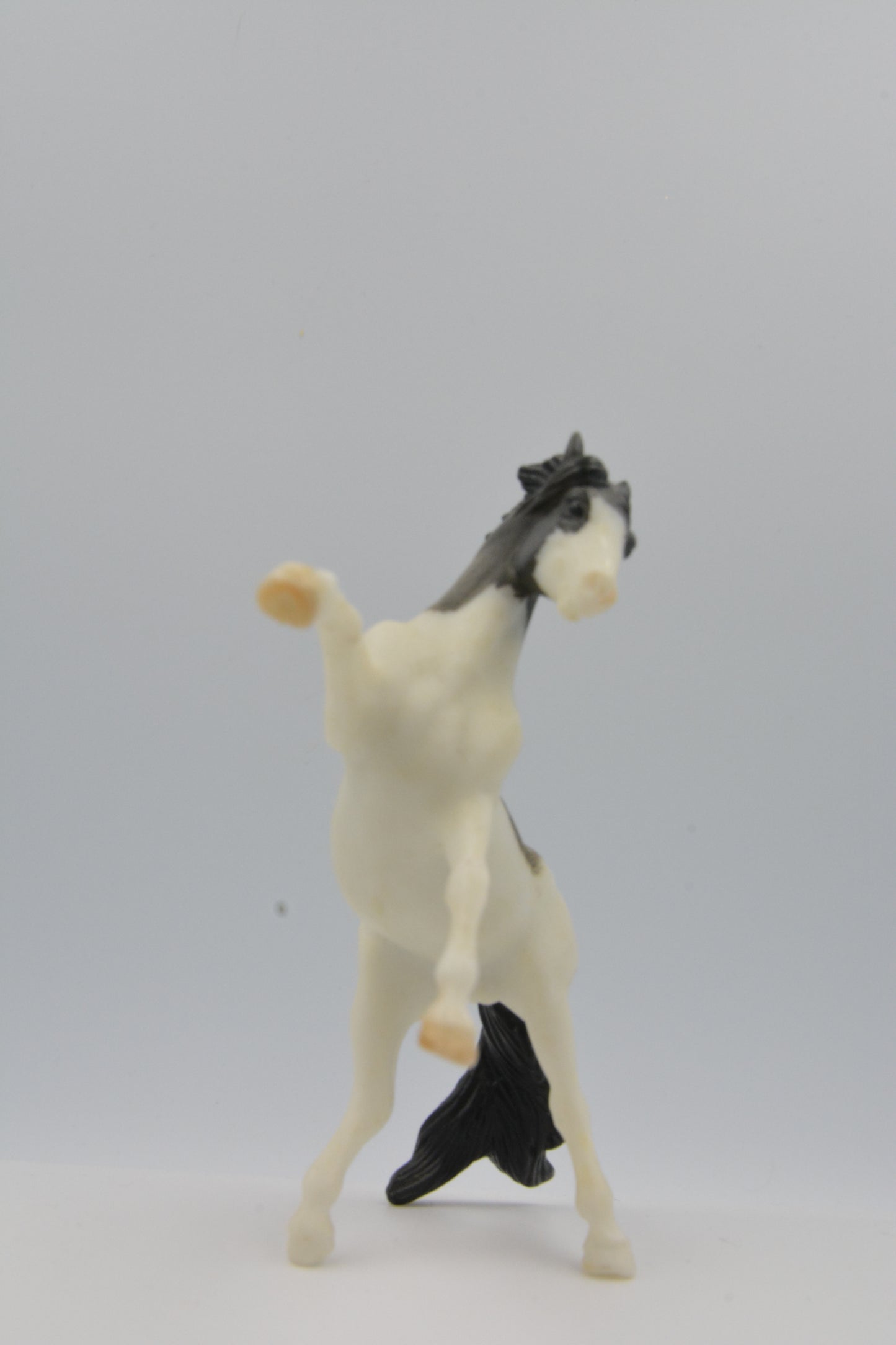 Etched Andalusian