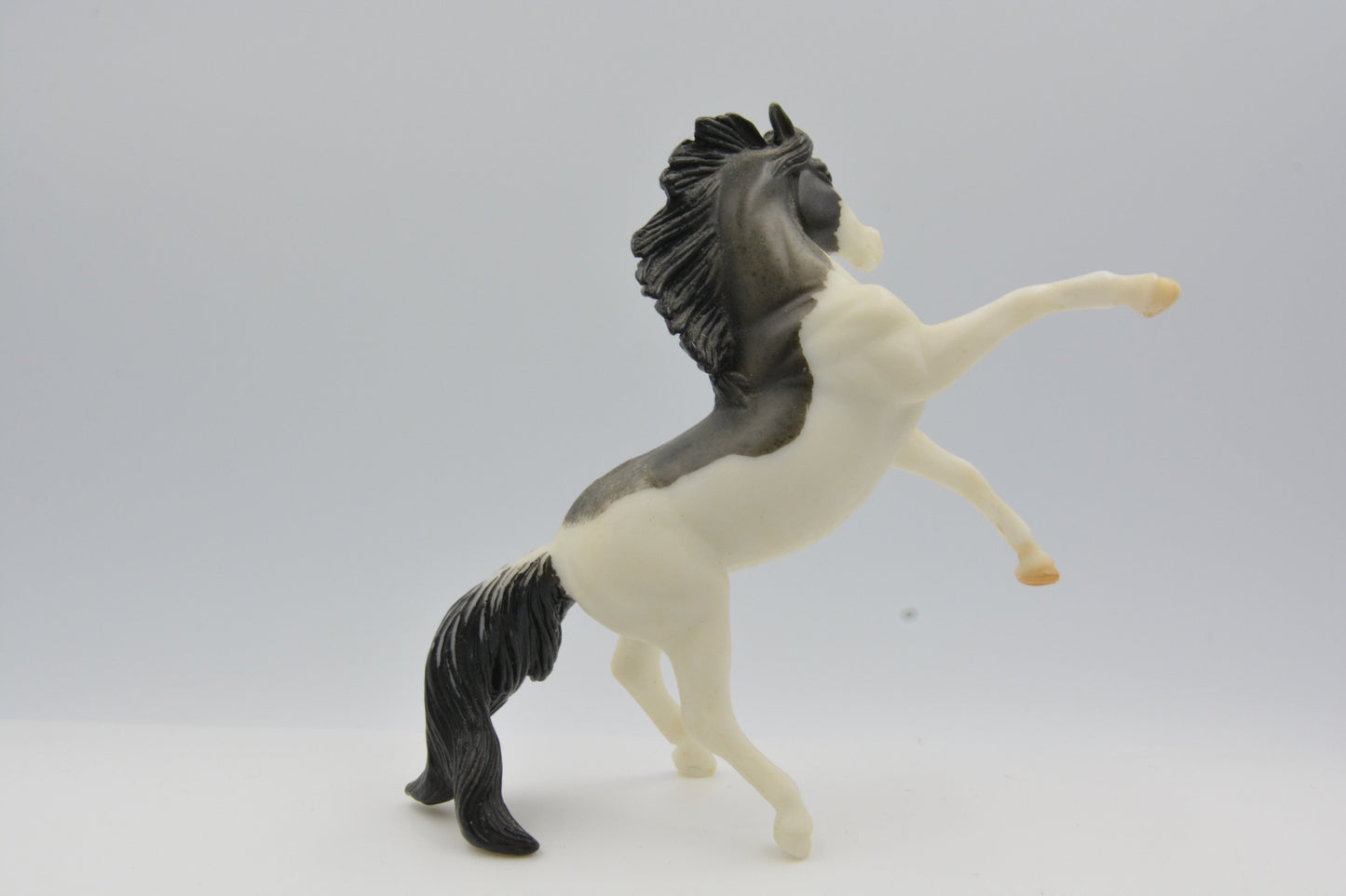 Etched Andalusian