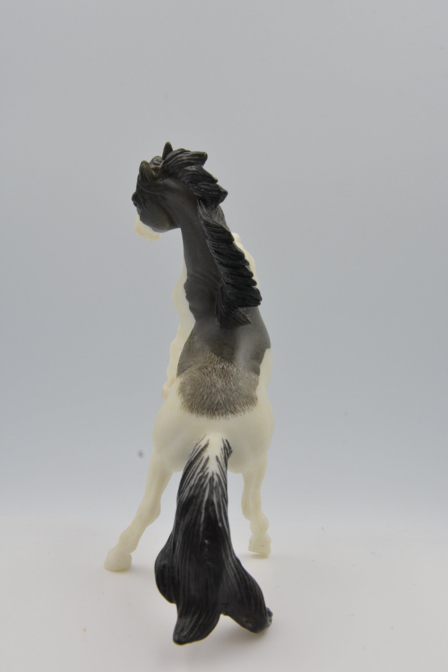 Etched Andalusian