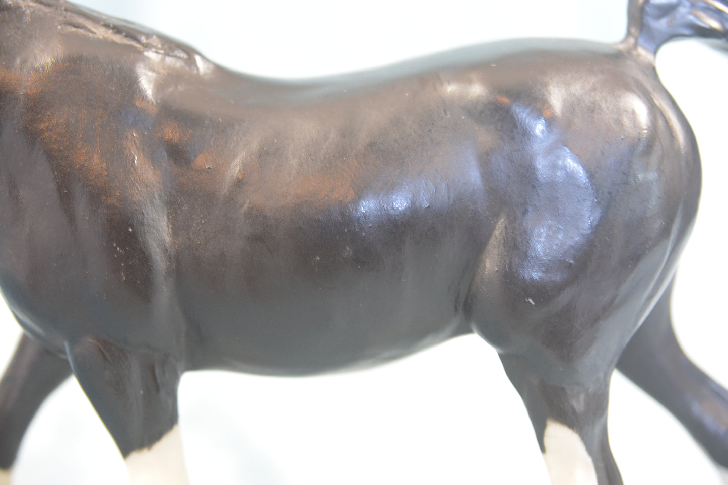 Black Arabian