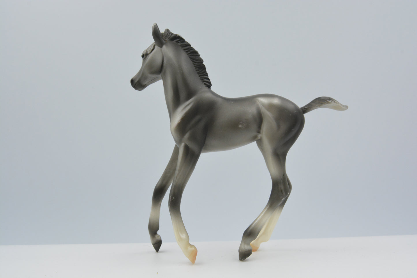 Grey Morgan Foal - Body