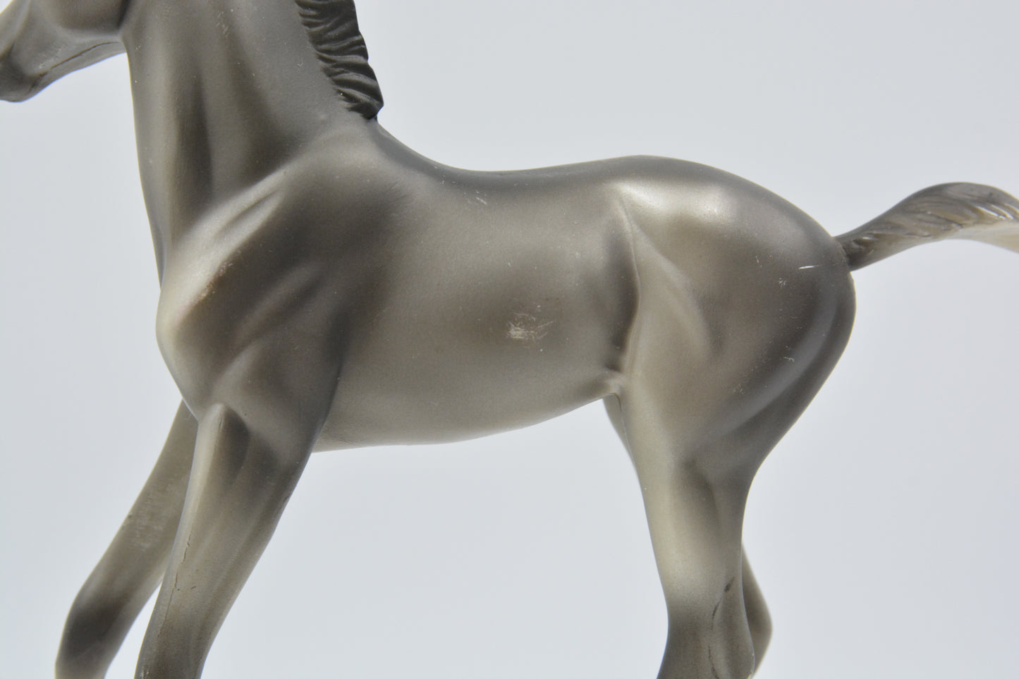 Grey Morgan Foal - Body