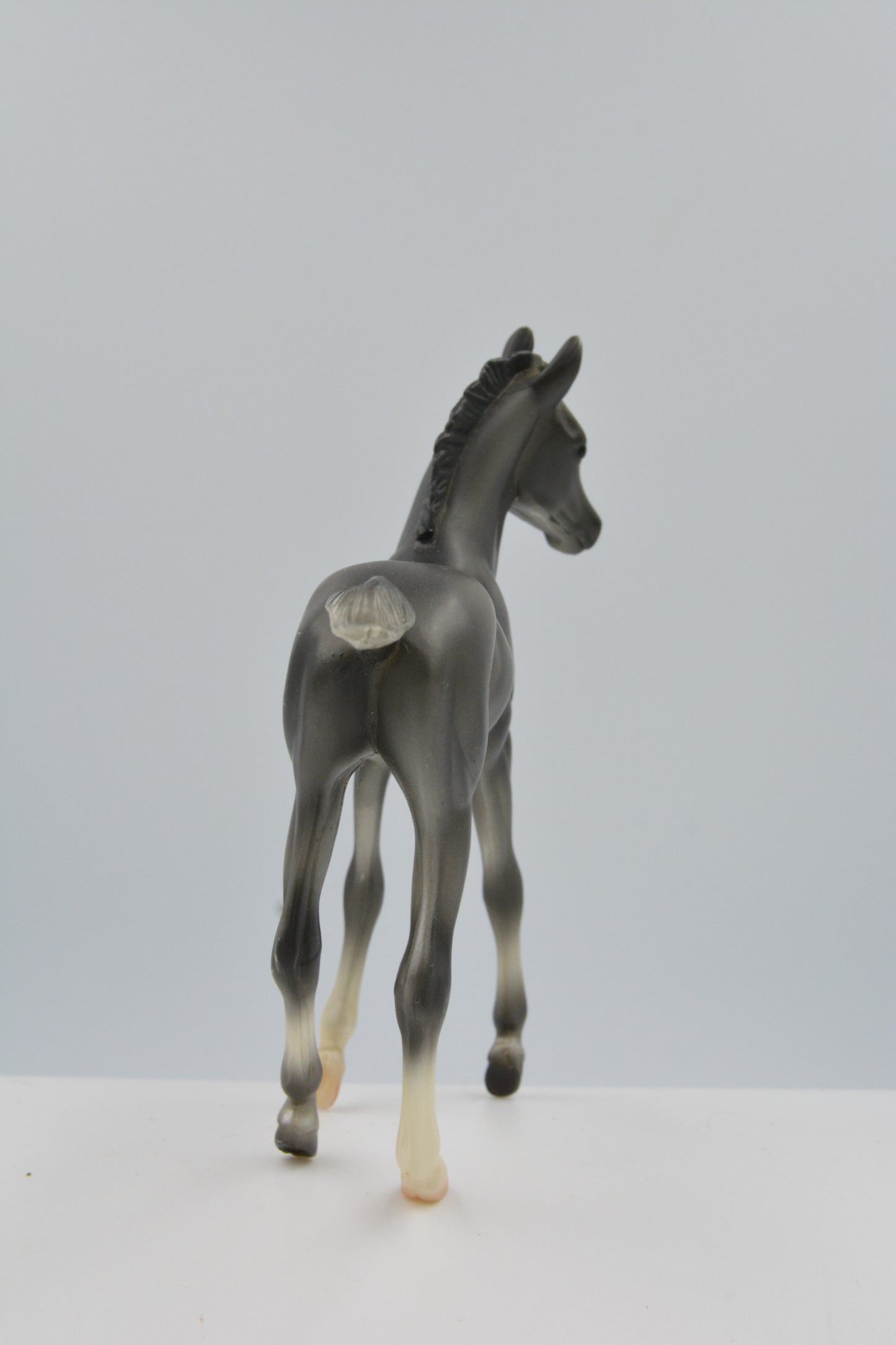 Grey Morgan Foal - Body