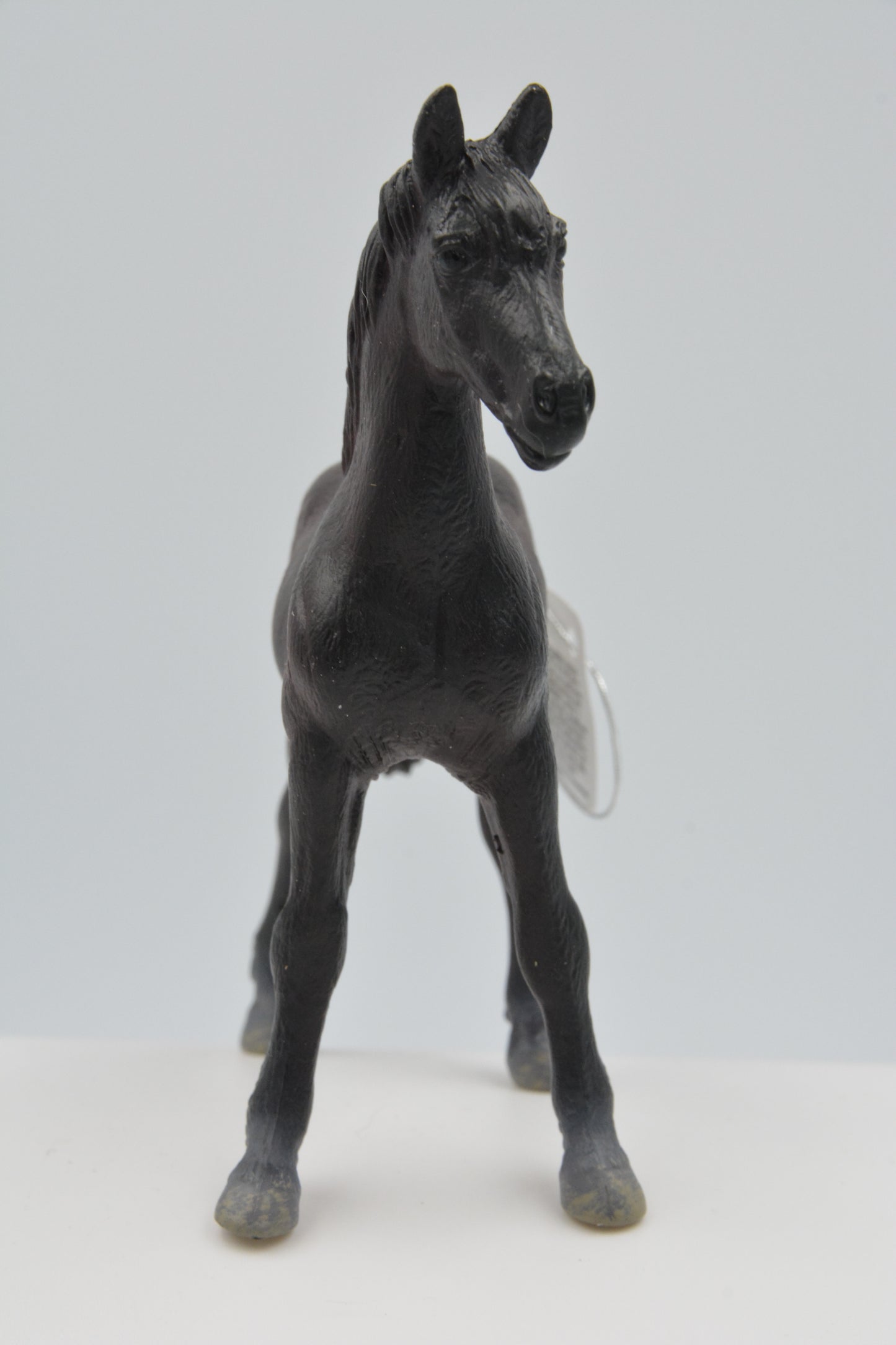 CollectA Friesian Foal #7