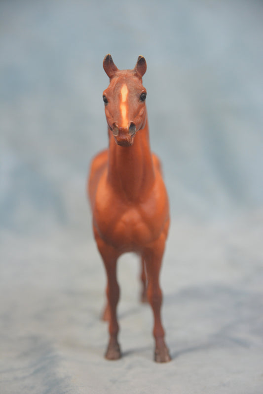Man O' War