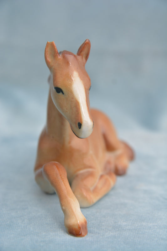 Chestnut China Foal