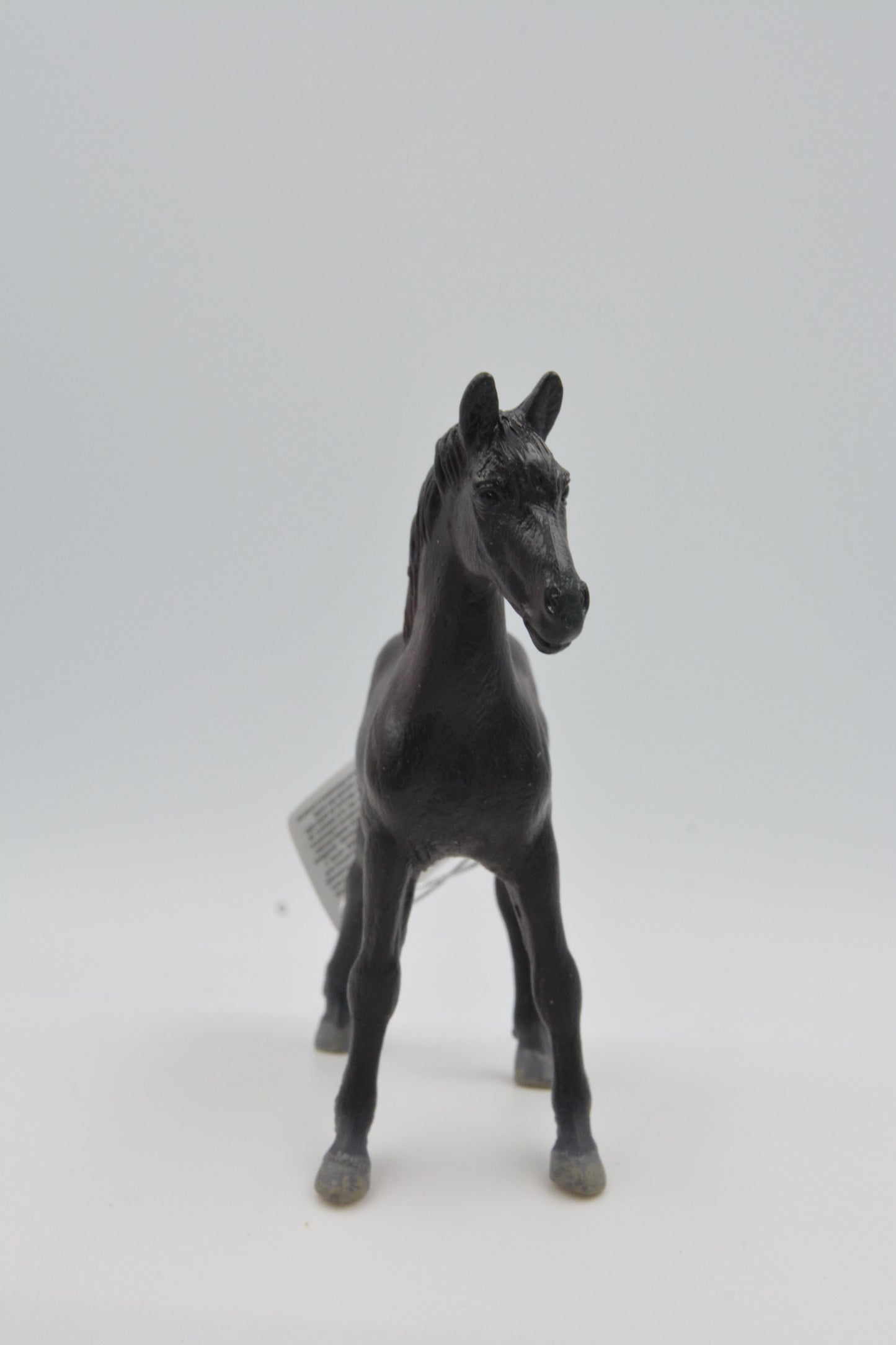 CollectA Friesian Foal #8