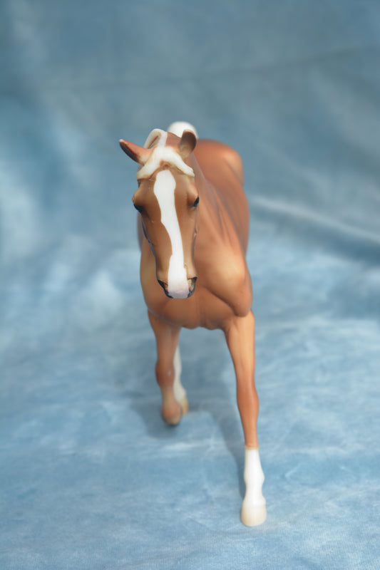 Palomino Morgan