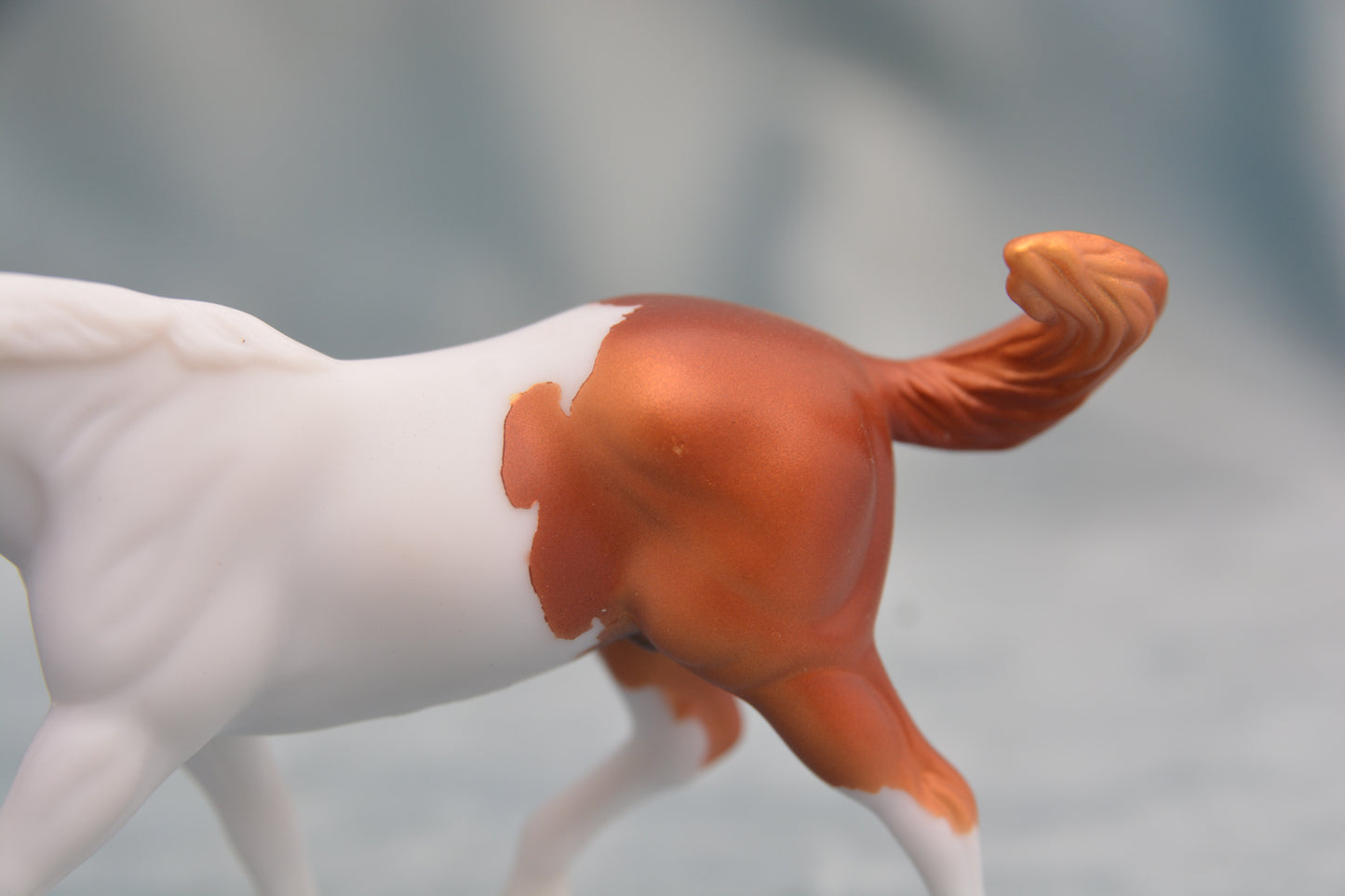Pinto G2 Appaloosa