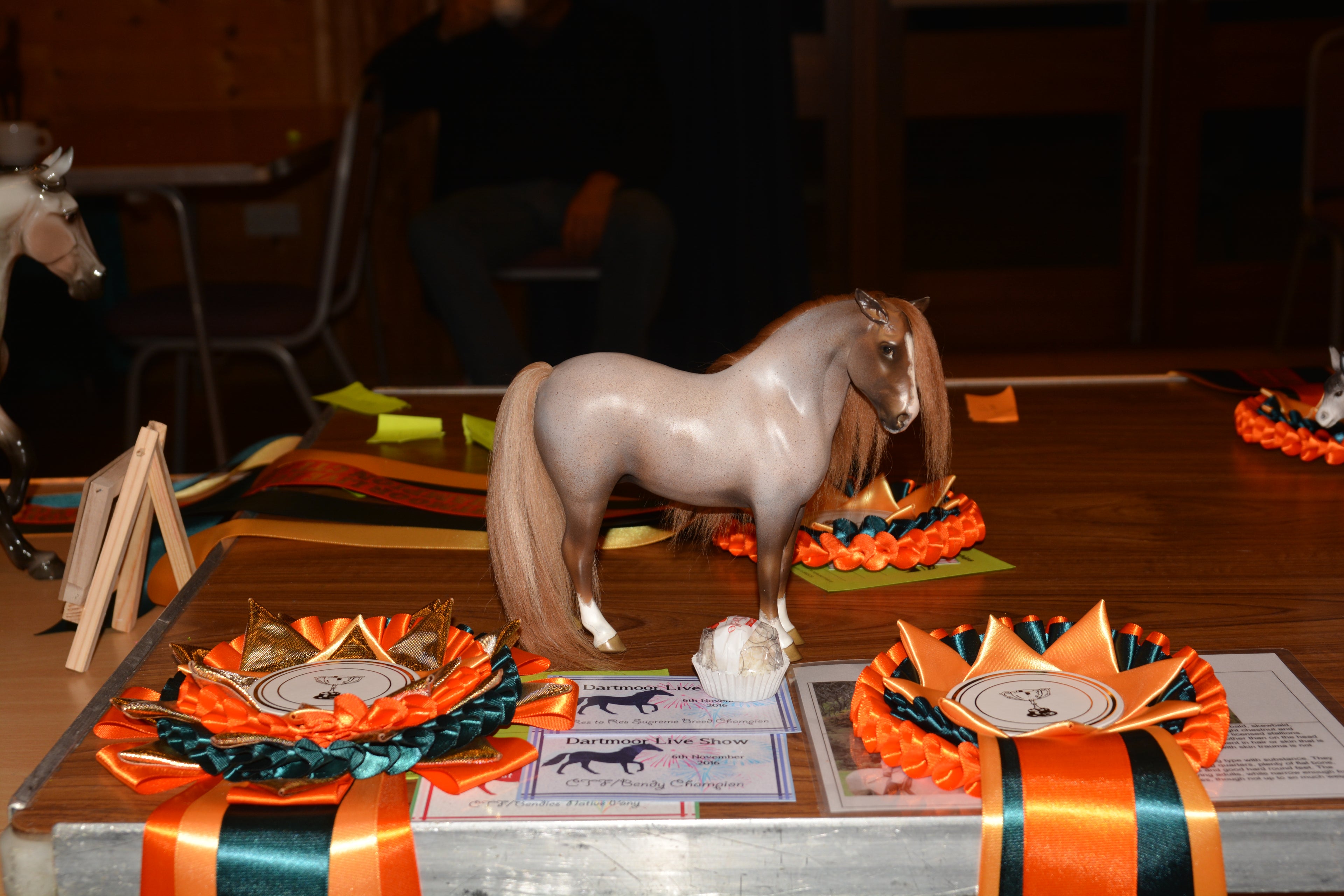 Equorum - Supreme Champion Dartmoor Live 2016