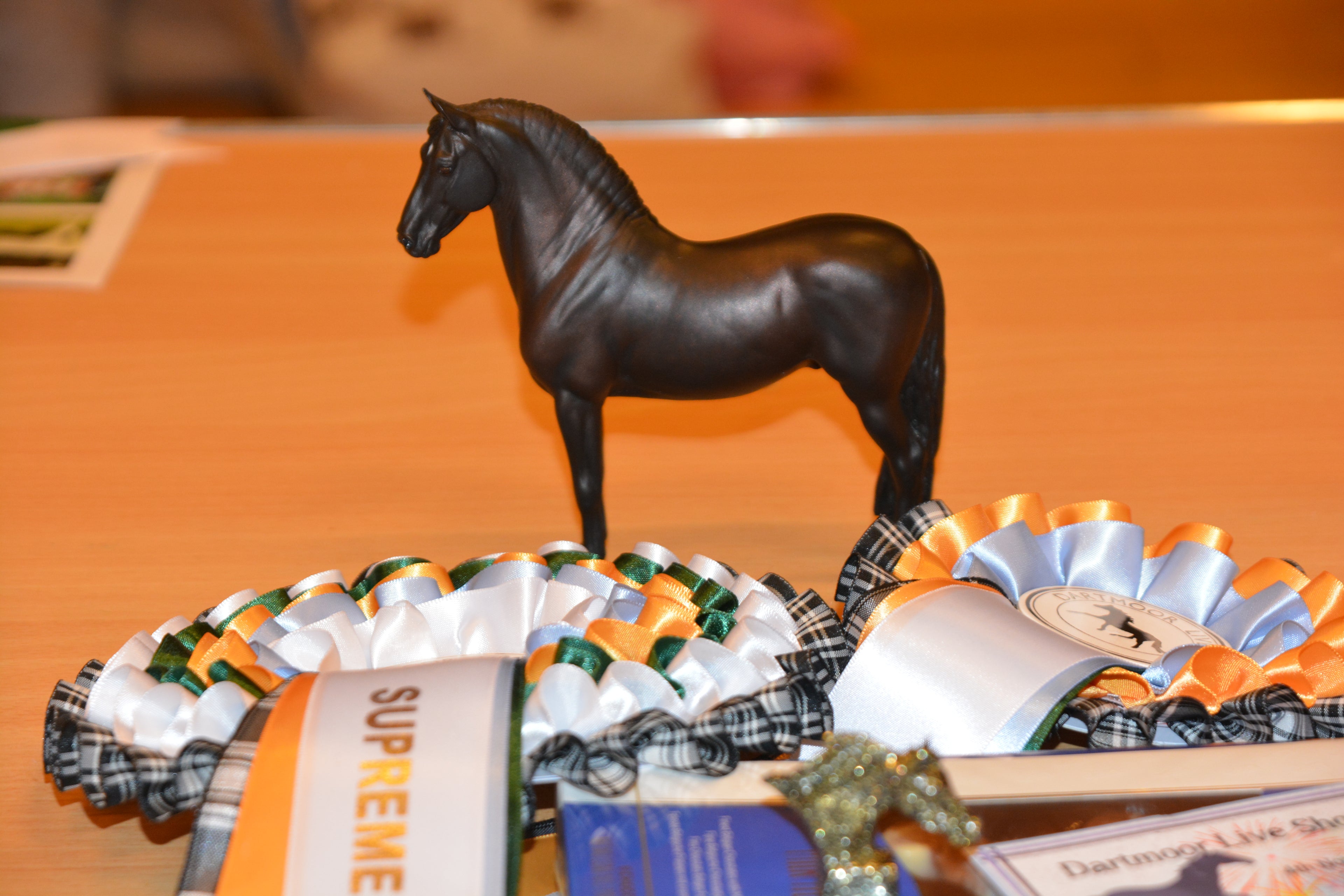 Artist Resin - Dartmoor Live 2018 Supreme Champion