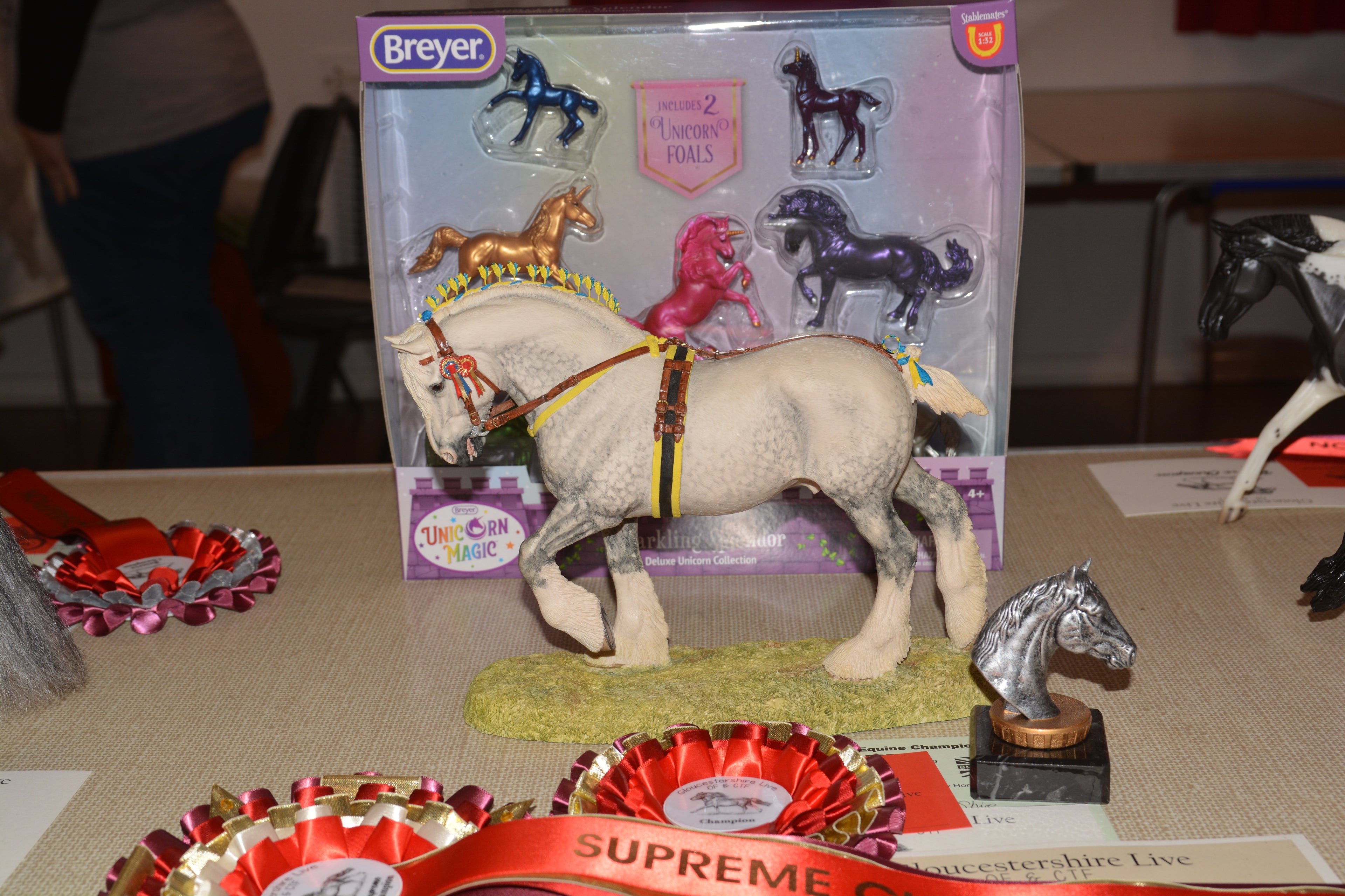 BFA Shire - Supreme Champion Dartmoor Live 2023
