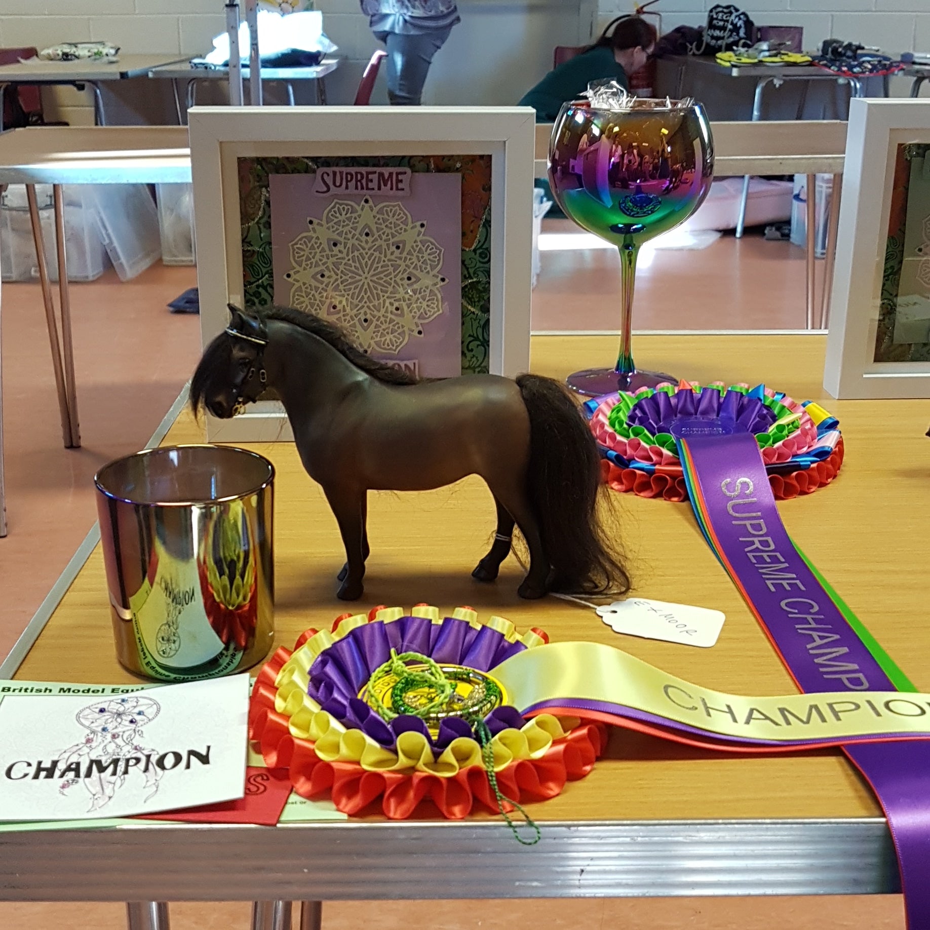 Equorum Exmoor - Supreme Champion Glastondidders 2019
