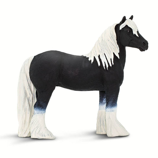 Vanner Stallion