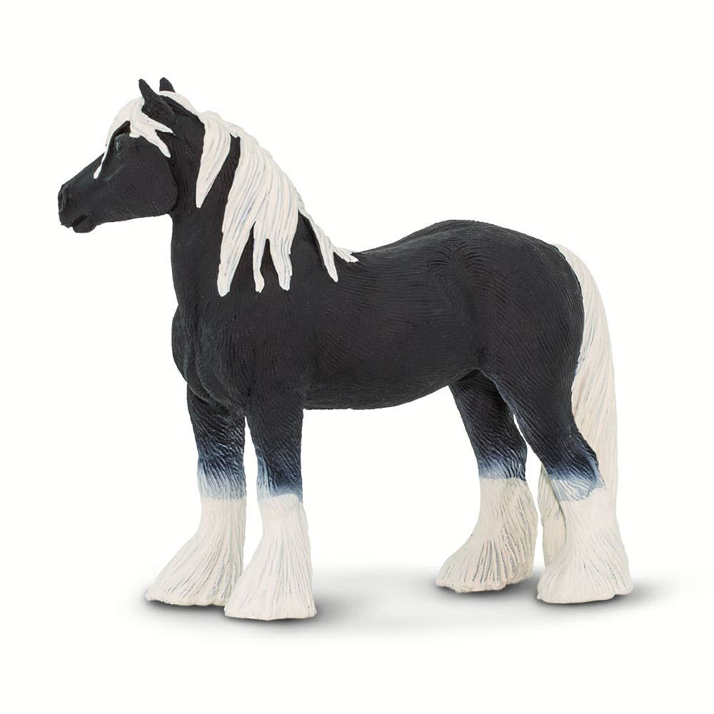 Vanner Stallion