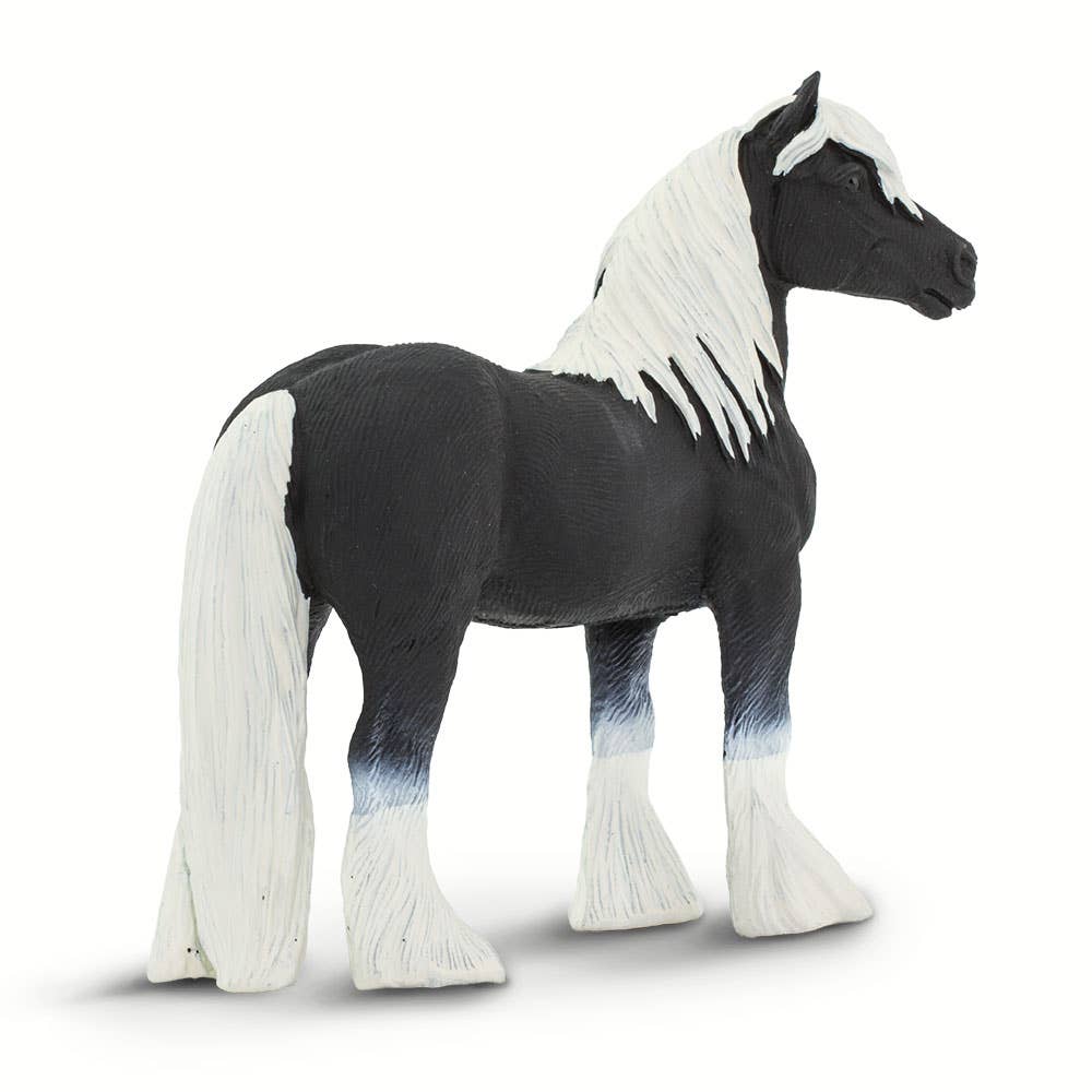 Vanner Stallion