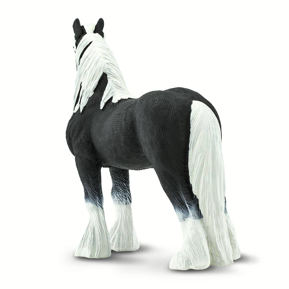 Vanner Stallion