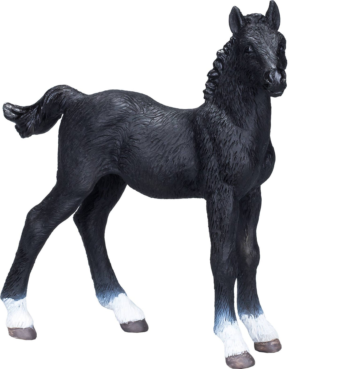 Hanoverian Foal - Black