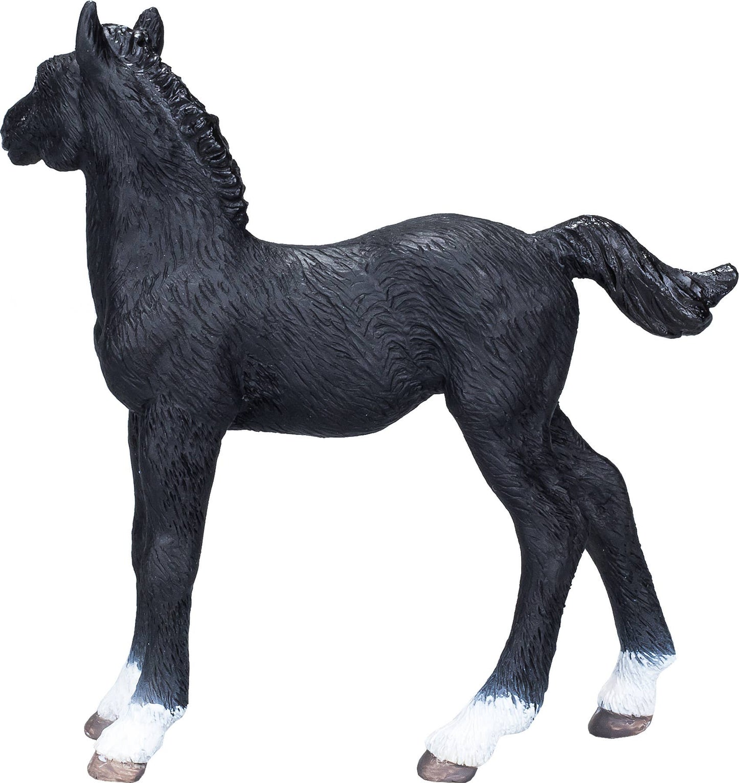 Hanoverian Foal - Black