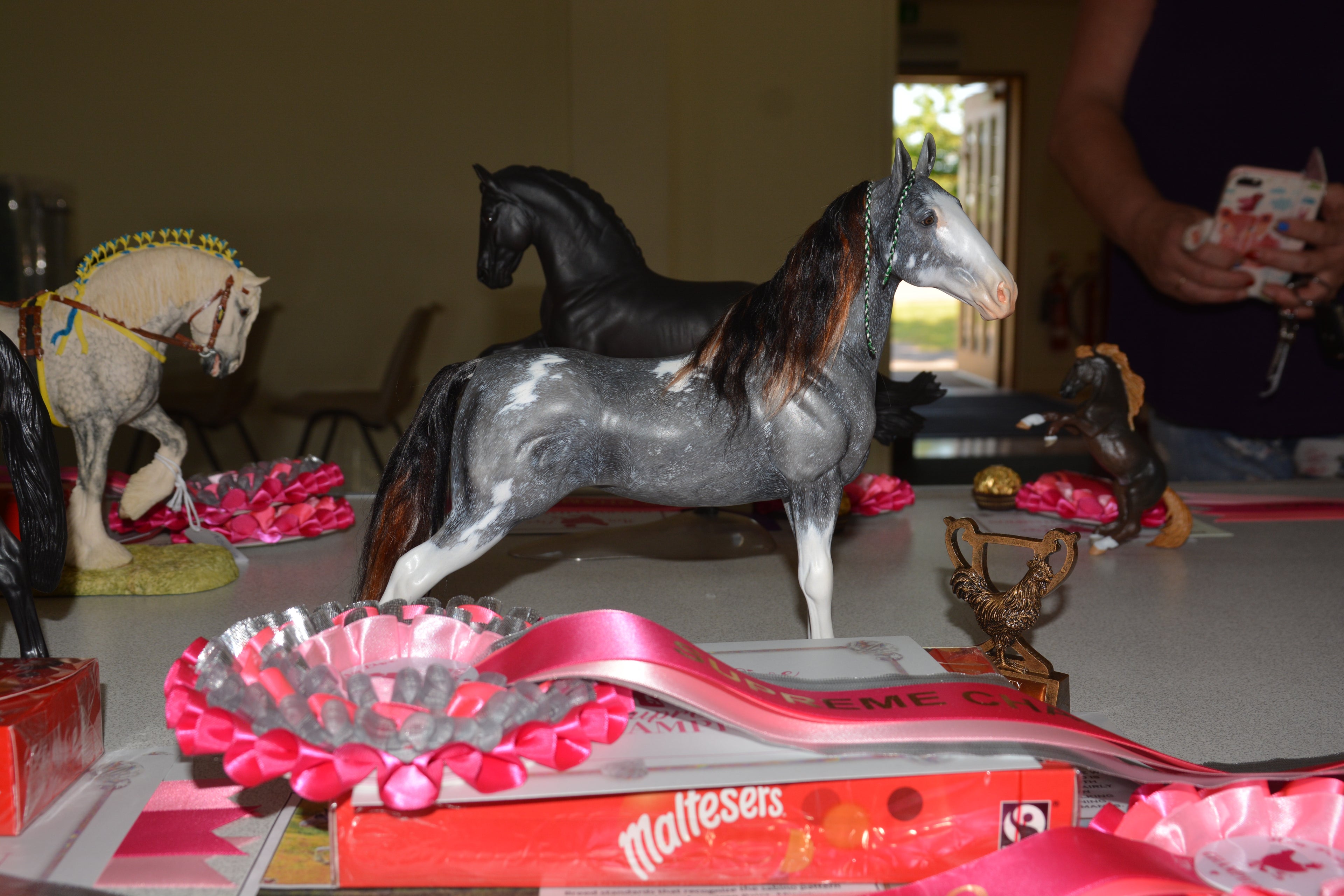 Custom Tennessee Walking Horse - Hen Party Live 2023 Supreme Champion