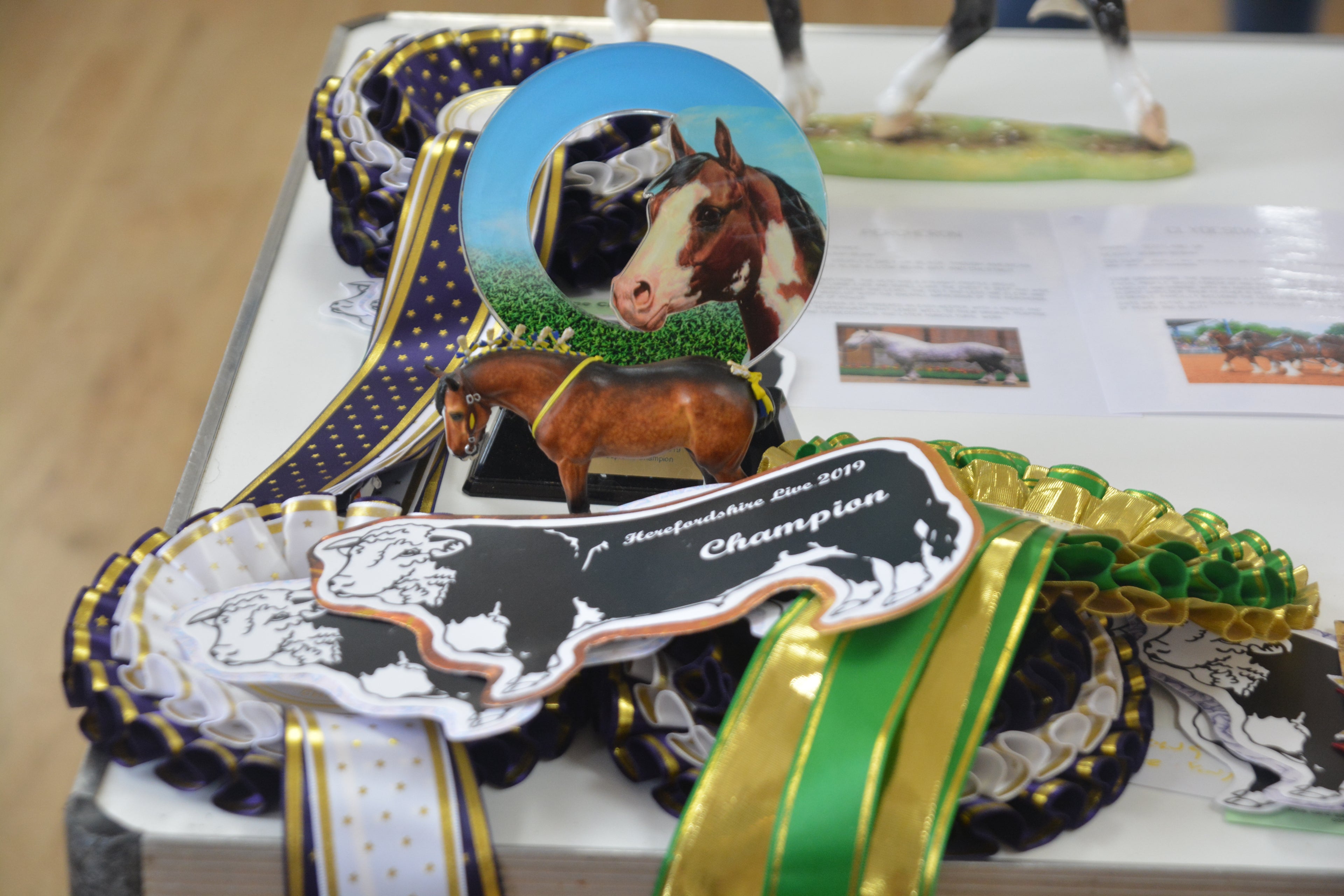 Animal Artistry Shire - Supreme Champion Herefordshire Live 2019