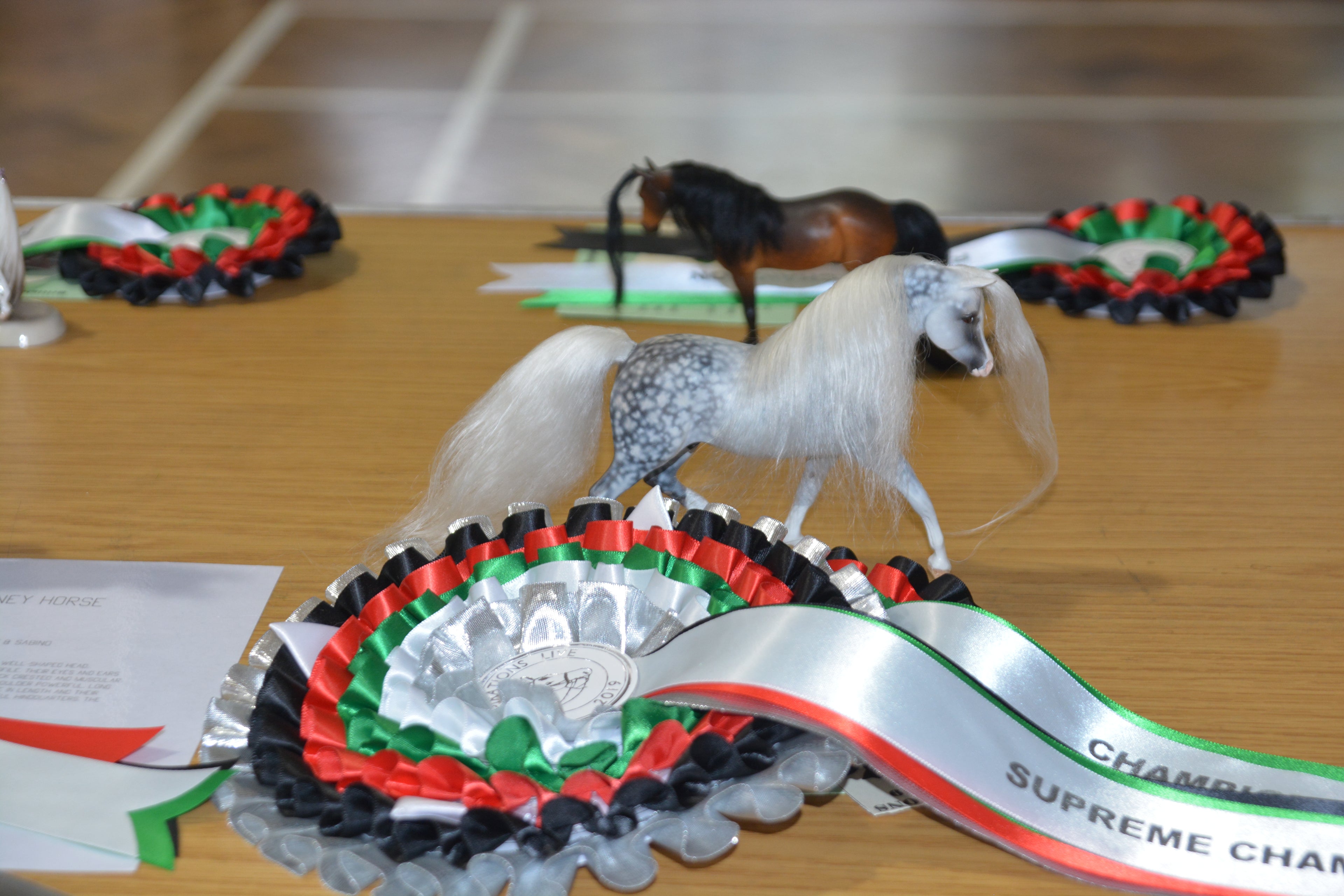 RubberNedz Welsh A - Supreme Champion Inspirations Live 2019