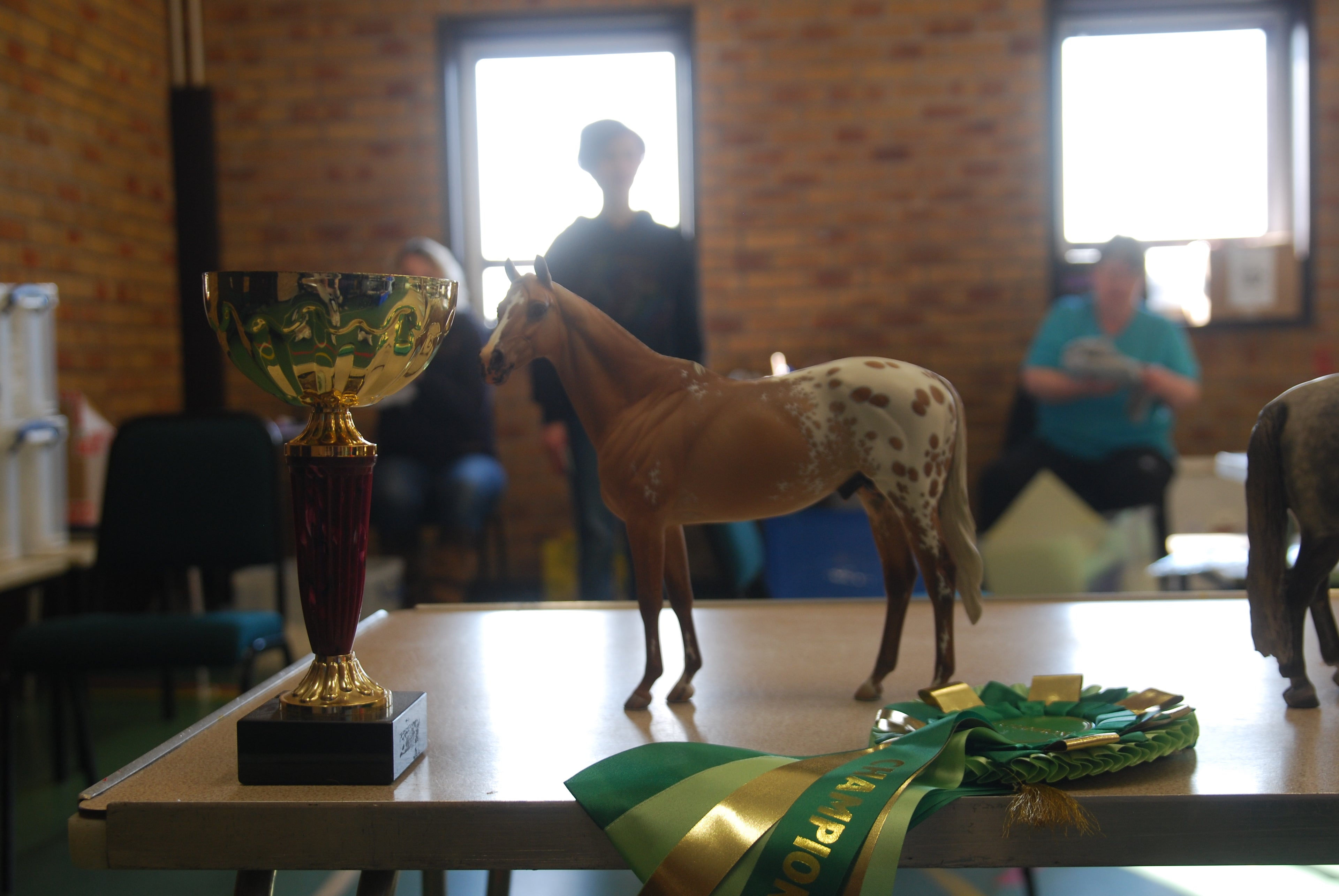 Artist Resin Appaloosa - Supreme Champion Macclesfield Live 2013