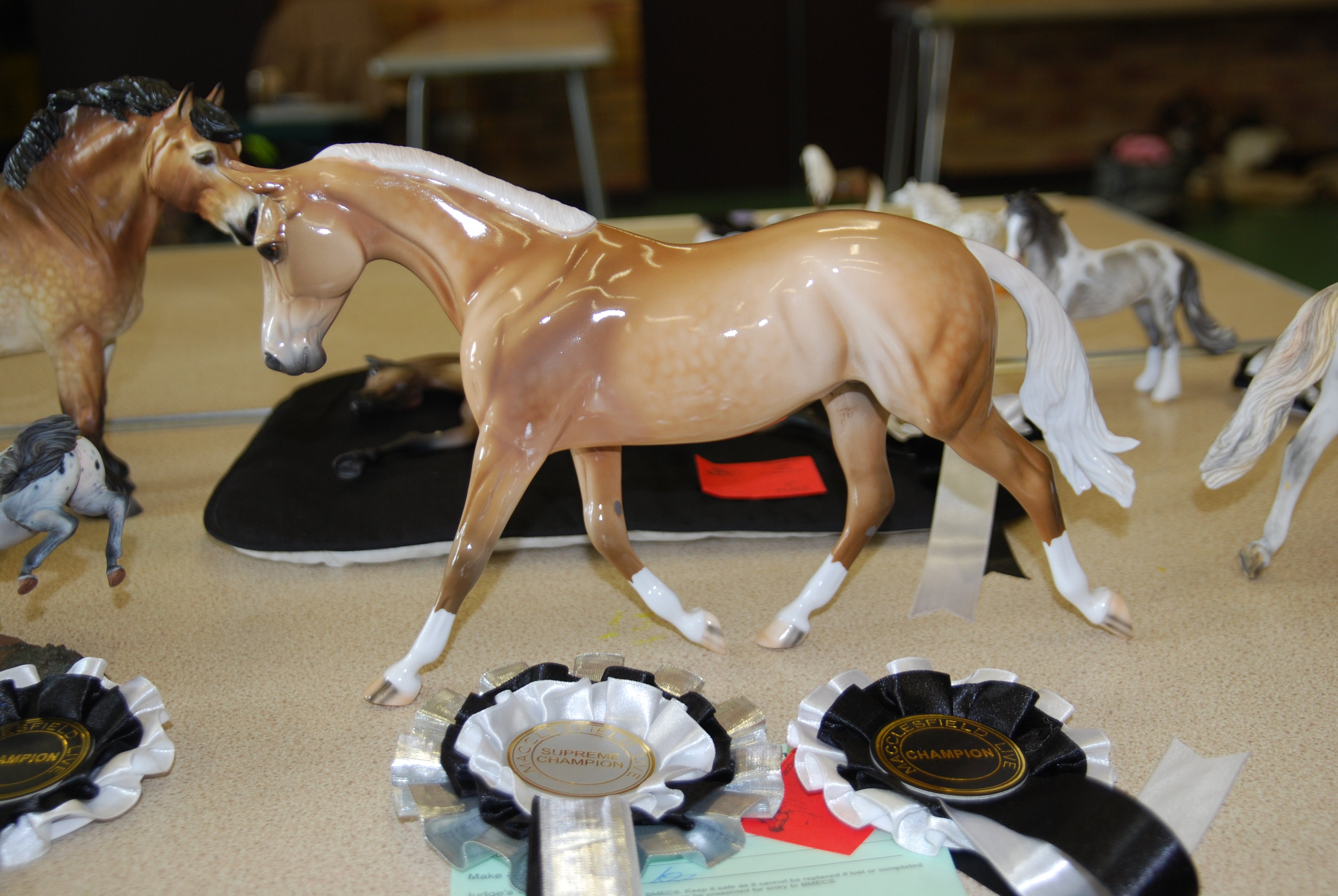 Peter Stone Palouse - Supreme Champion Macclesfield Live 2014