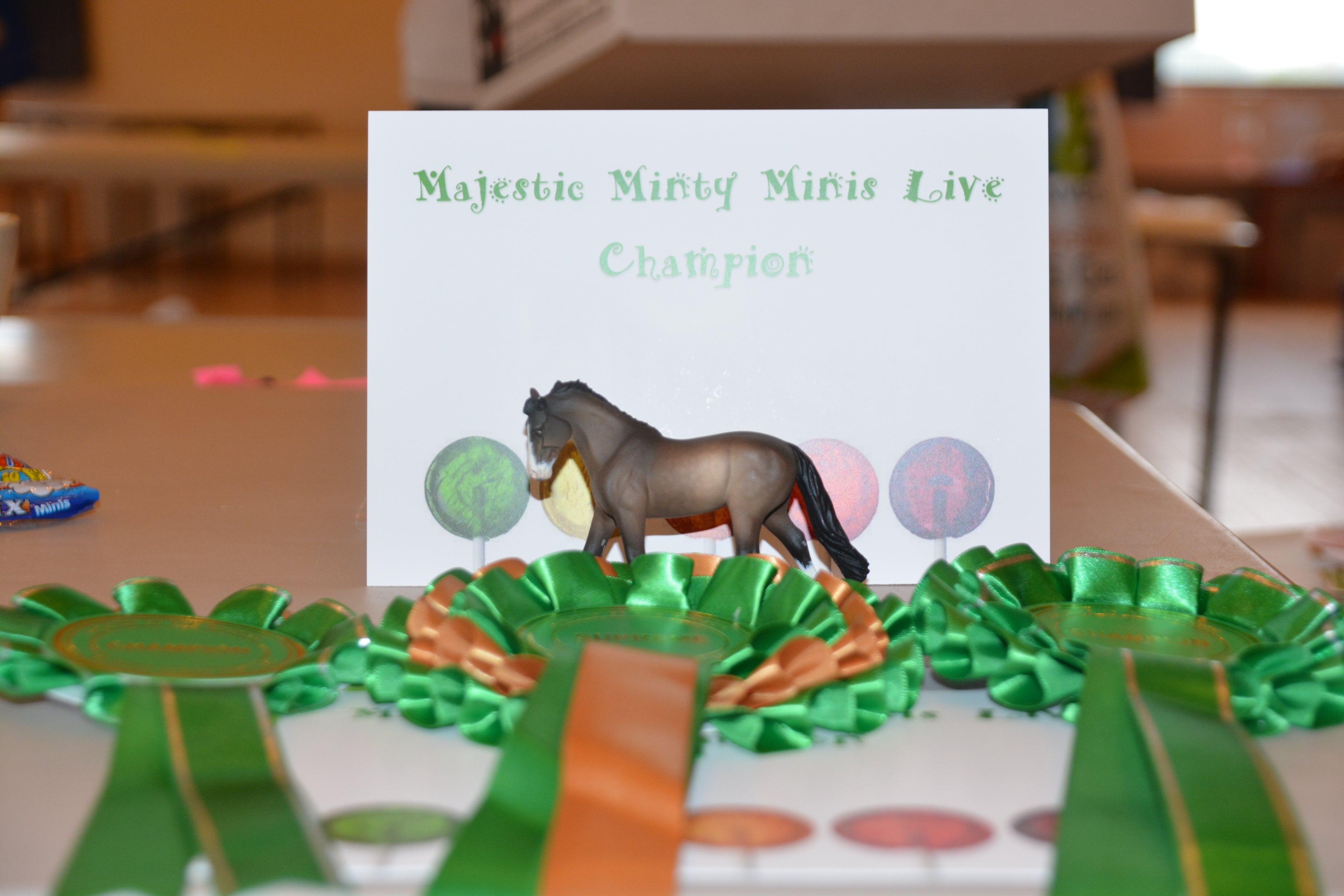 Custom Breyer G4 Driving - Supreme Champion Majestic Minty Live 2017