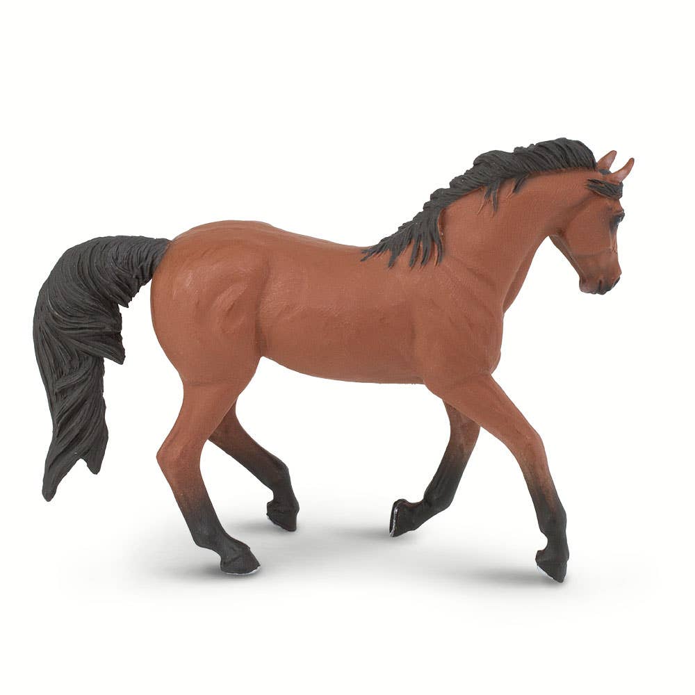 Morgan Mare