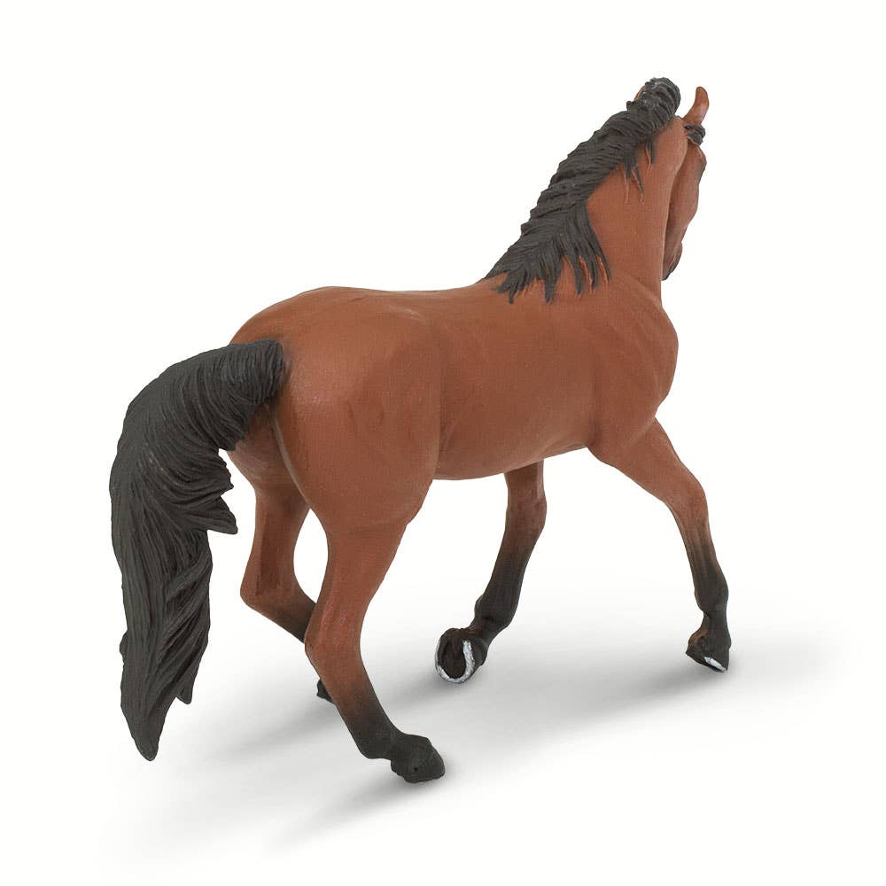 Morgan Mare