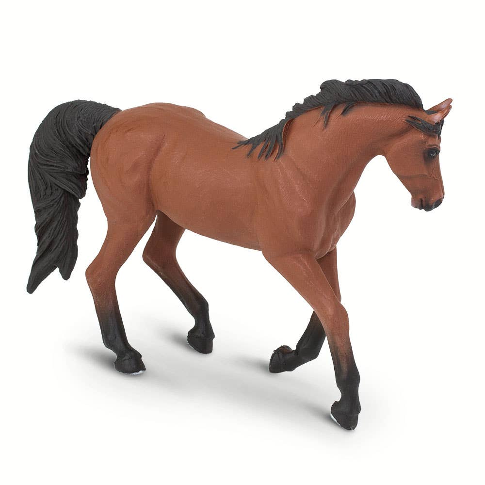 Morgan Mare