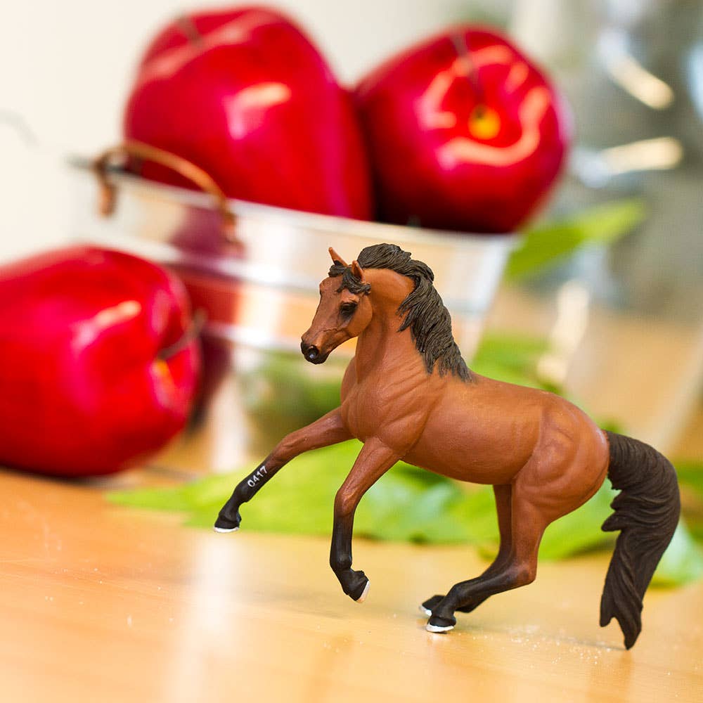 Morgan Mare