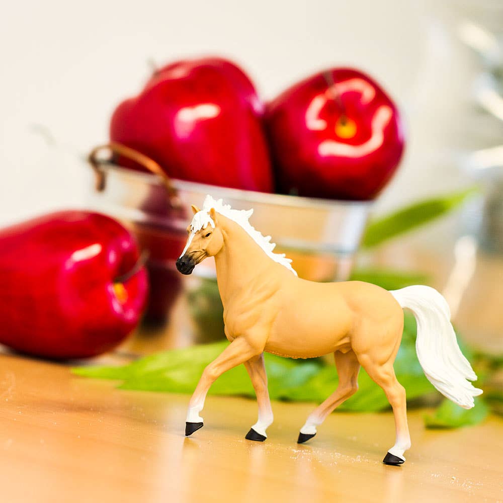 Palomino Mustang Stallion