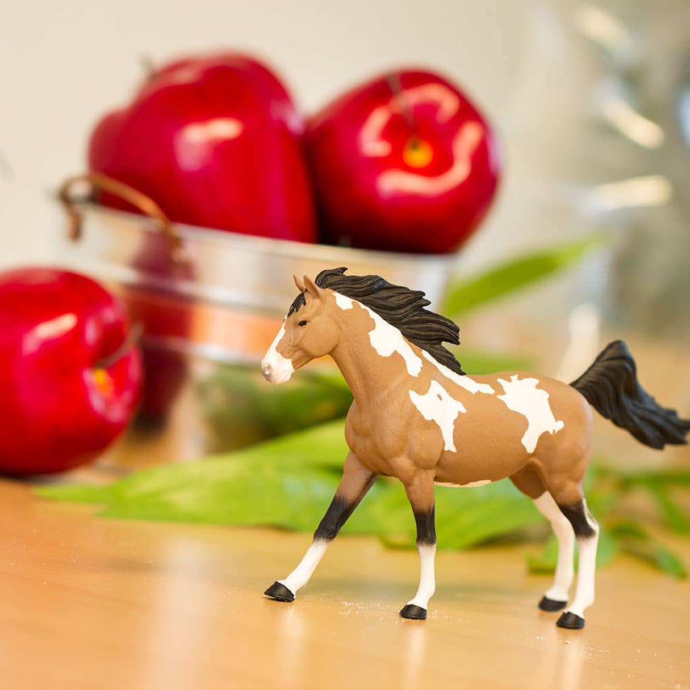 Pinto Mustang Stallion