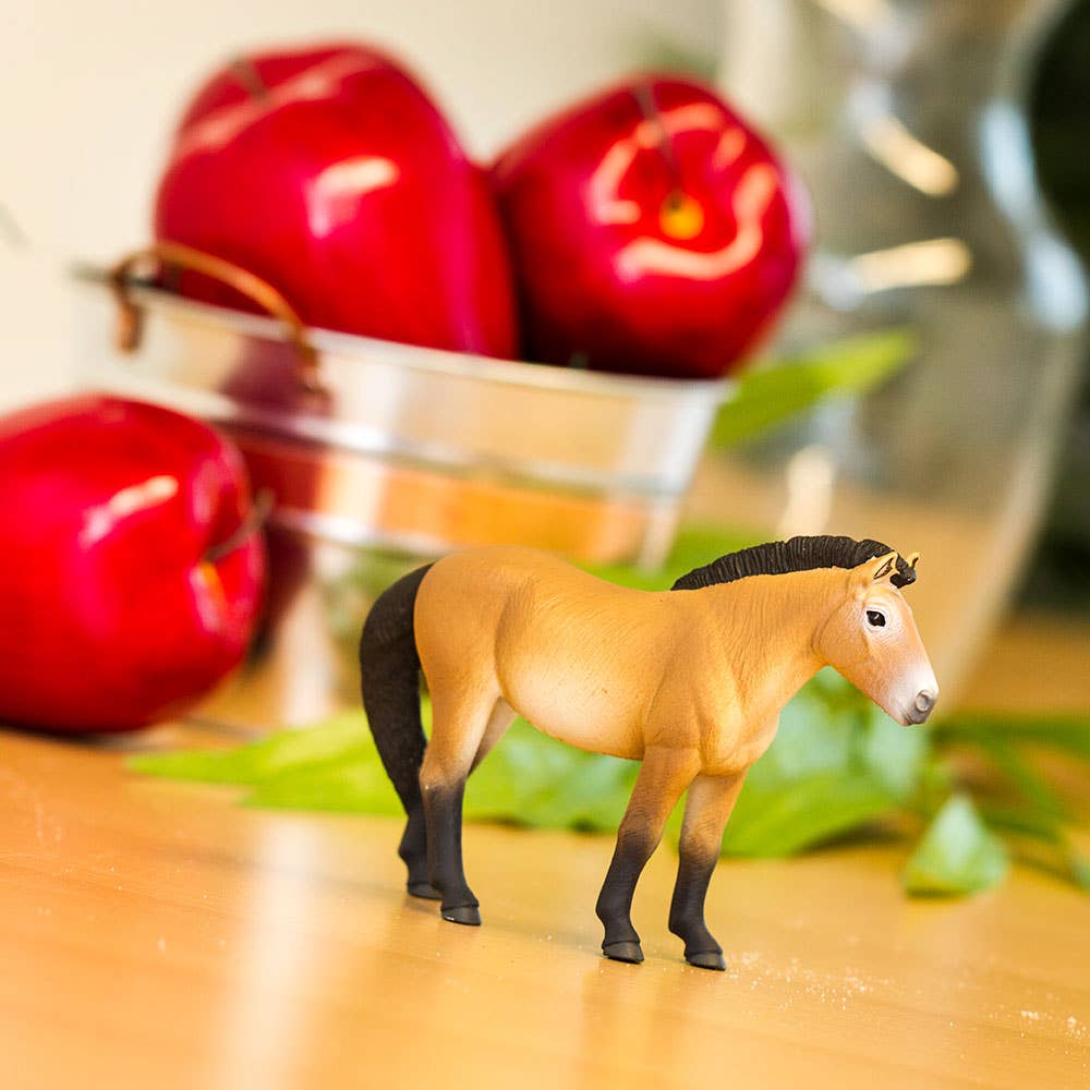 Przewalskis Horse