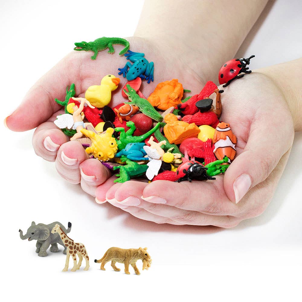 Savannah Fun Pack