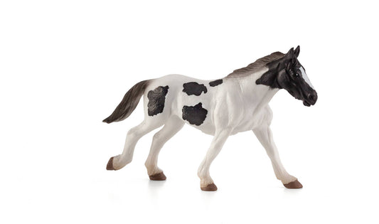 Tinker Yearling